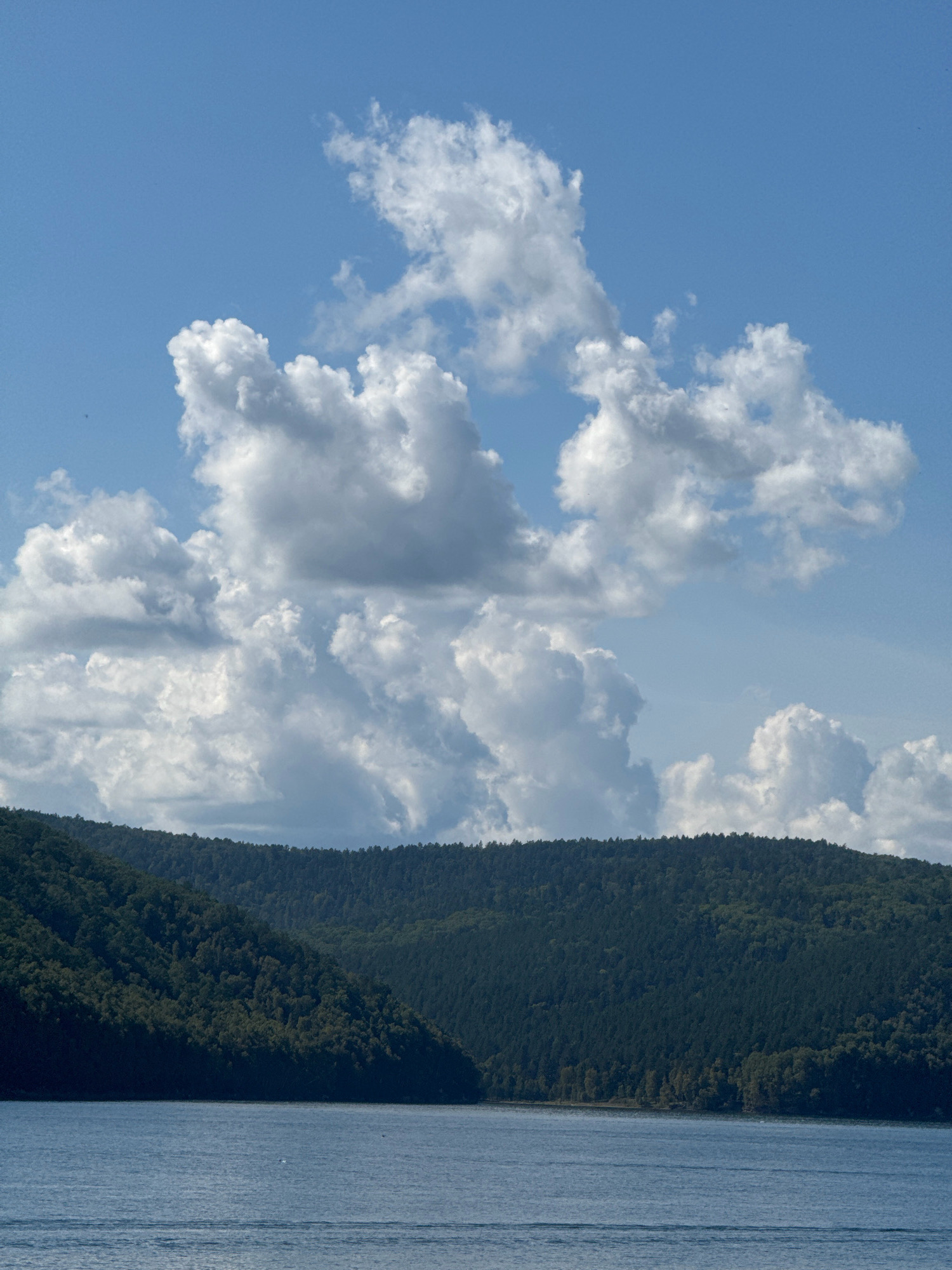 The image shows a wide shot of a calm, blue body of water in the foreground. In the midground, a densely forested hillside slopes down to the water's edge. The hillside is covered in a variety of green trees, with some appearing darker and more mature than others. In the background, a bright blue sky is filled with numerous white, fluffy cumulus clouds. The overall scene evokes a natural landscape, likely a lake or a wide river, with surrounding hills. The location is identified as Тальцы (Иркутский), Russia, which is an ethnographic museum and park located on the bank of the Irkut River. This suggests the image likely depicts the Irkut River or a nearby body of water within or adjacent to the museum grounds. There are no people or specific man-made structures clearly visible in this particular frame, focusing purely on the natural environment.