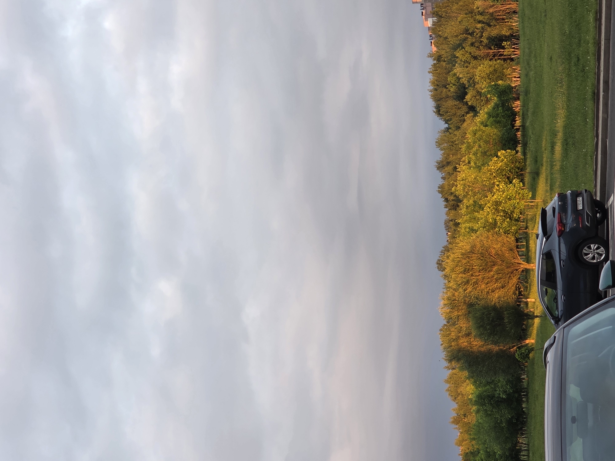 An outdoor scene captured during late afternoon or early evening under a cloudy sky, with warm, golden sunlight illuminating parts of the landscape. The upper two-thirds of the image features a predominantly gray and white overcast sky, exhibiting subtle pink and purplish hues towards the lower horizon, suggesting a break in the clouds or a distant light source.
The midground is dominated by a dense treeline stretching horizontally across the image. The trees exhibit varying shades of green, with a significant cluster in the center and right foreground bathed in intense golden light, causing their foliage to glow yellow and orange. Trees on the far left appear darker and less illuminated. In front of the treeline is an expanse of green grass, also partially lit by the golden sunlight, creating areas of bright highlights and deep shadows.
In the foreground, a dark-colored car, possibly a sedan or hatchback, is partially visible on the far left, showing its roofline and the upper part of its windshield. To its right, a dark gray or blue SUV is parked on a paved surface, likely a road or parking lot. The SUV's rear and passenger side are visible, displaying a license plate with the alphanumeric sequence "0190 AB-9". No individuals are visible in the image. In the far background, on the right side above the treeline, a portion of a light-colored, multi-story building with a flat roof is visible, with some of its upper sections reflecting the warm light with a pinkish-orange tint. The scene is located in the city of Unknown, Unknown.