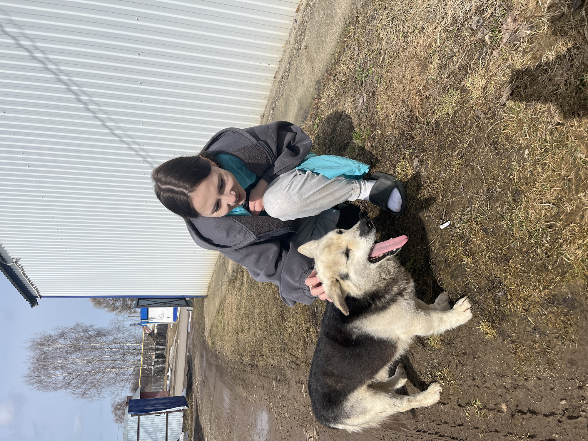 The image depicts a young woman interacting with a dog in an outdoor setting. The woman, with dark hair pulled back, is crouching down, wearing a gray hooded sweatshirt over a turquoise shirt, gray sweatpants, and black slide sandals with white socks. She is smiling and appears to be petting the dog. The dog is lying on the ground, panting with its tongue out. The dog is primarily black with white and beige markings. The ground is a mix of dirt, mud, and sparse brown grass. In the background, there is a corrugated metal building. The setting appears to be in a rural area. The image is taken in daylight. Based on the metadata, the image was taken in Норья, Russia.