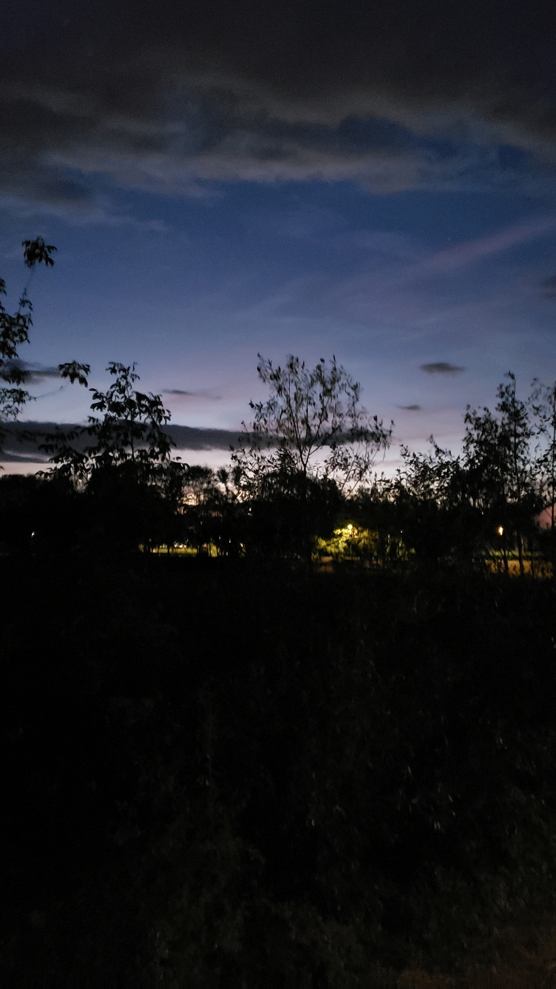 The image captures a twilight scene with a dark foreground and a colorful sky. Silhouetted trees with sparse leaves dominate the mid-ground, their branches reaching towards the sky. Beyond the trees, a few distant lights glow warmly, suggesting a park or residential area. The sky transitions from a deep blue at the top to lighter shades of purple and pink near the horizon, with scattered dark clouds. The overall impression is one of a tranquil evening in an outdoor setting. This image does not contain any discernible elements that would allow for identification of a specific location within the city of Prešov, Slovakia.