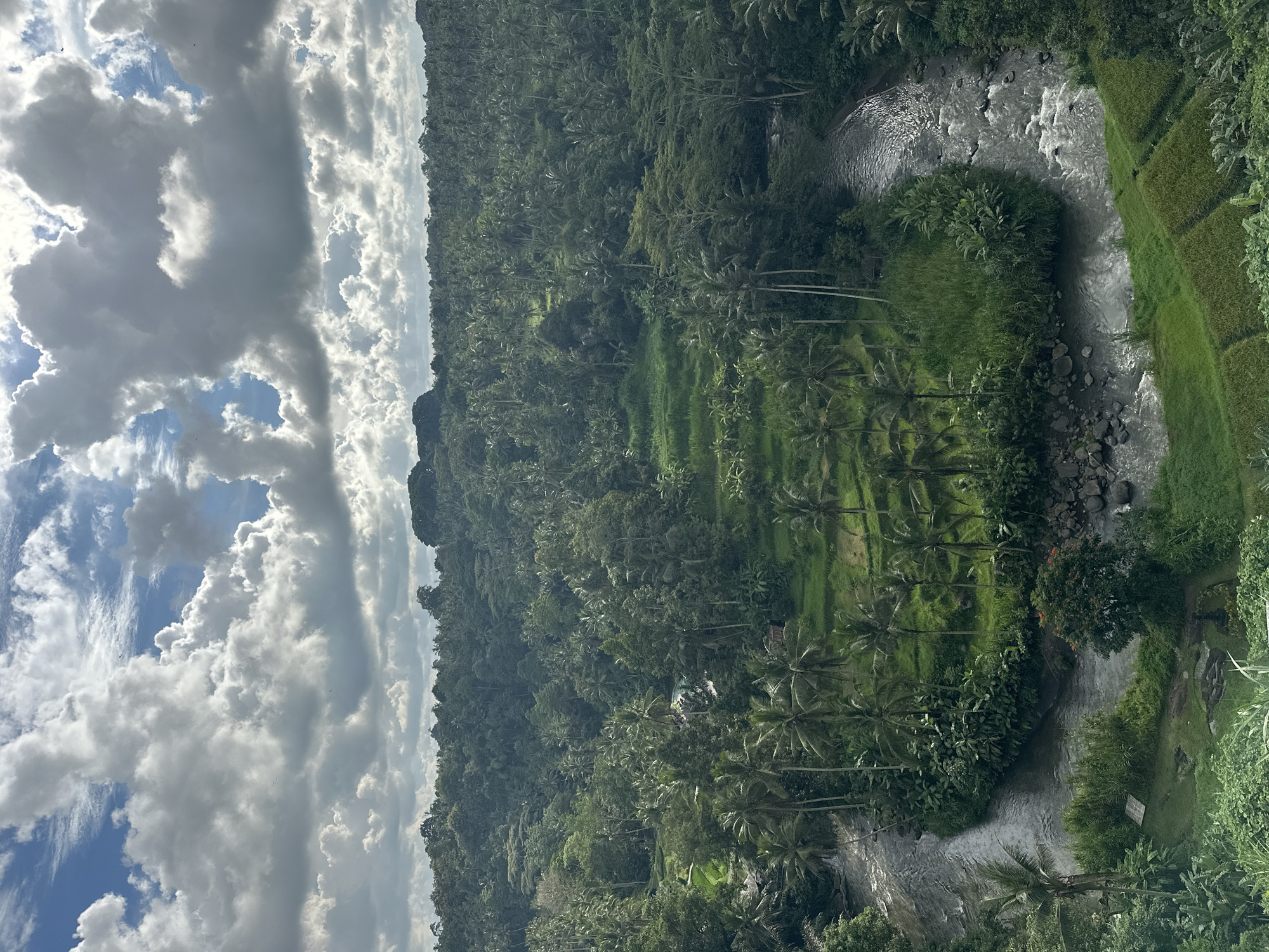 This image is a landscape photograph of the Ubud District in Indonesia. The perspective is from a high vantage point, possibly a hill or overlook. The scene includes a lush, green forest covering the rolling hills. The sky is partially cloudy, with white cumulus clouds and patches of blue sky visible. A river runs through the landscape with terraced rice paddies alongside. Palm trees are dispersed throughout the forest and near the river.