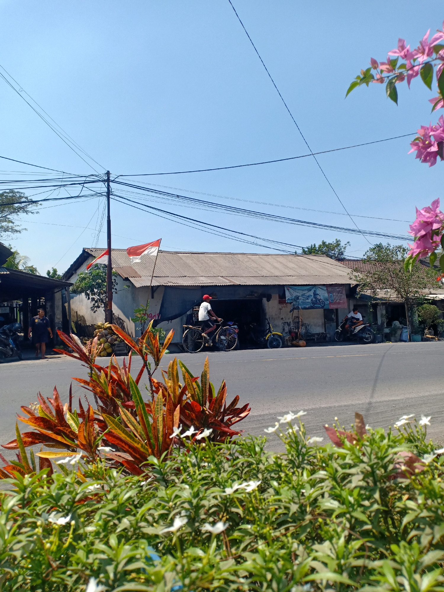 The image depicts a street scene in Jarit, Indonesia. In the foreground, a vibrant display of plants with red, orange, and green leaves, along with small white flowers, frames the lower portion of the frame. Beyond this foliage, a two-lane asphalt road runs horizontally. On the right side of the road, a row of buildings with corrugated metal roofs lines the street. One building appears to be a workshop or shop, with an open front displaying what looks like spare parts or tools. A banner with text and an image of a motorcycle hangs on the front of this building. A person is seated on a white scooter in front of this establishment. Further down the road, another person is riding a motorcycle. To the left of the workshop, there is another building with a darker, more rustic appearance. A man in a dark t-shirt and shorts is walking away from this building towards the left. In front of the workshop, a bicycle with a rider wearing a red cap is visible. A pole with two Indonesian flags, one red and white, stands near the workshop. Piles of coconuts are stacked on the ground to the left of the flags. Overhead, a tangle of power lines crisscrosses the bright blue sky, supported by a utility pole. Pink bougainvillea flowers are visible in the upper right corner of the image.
