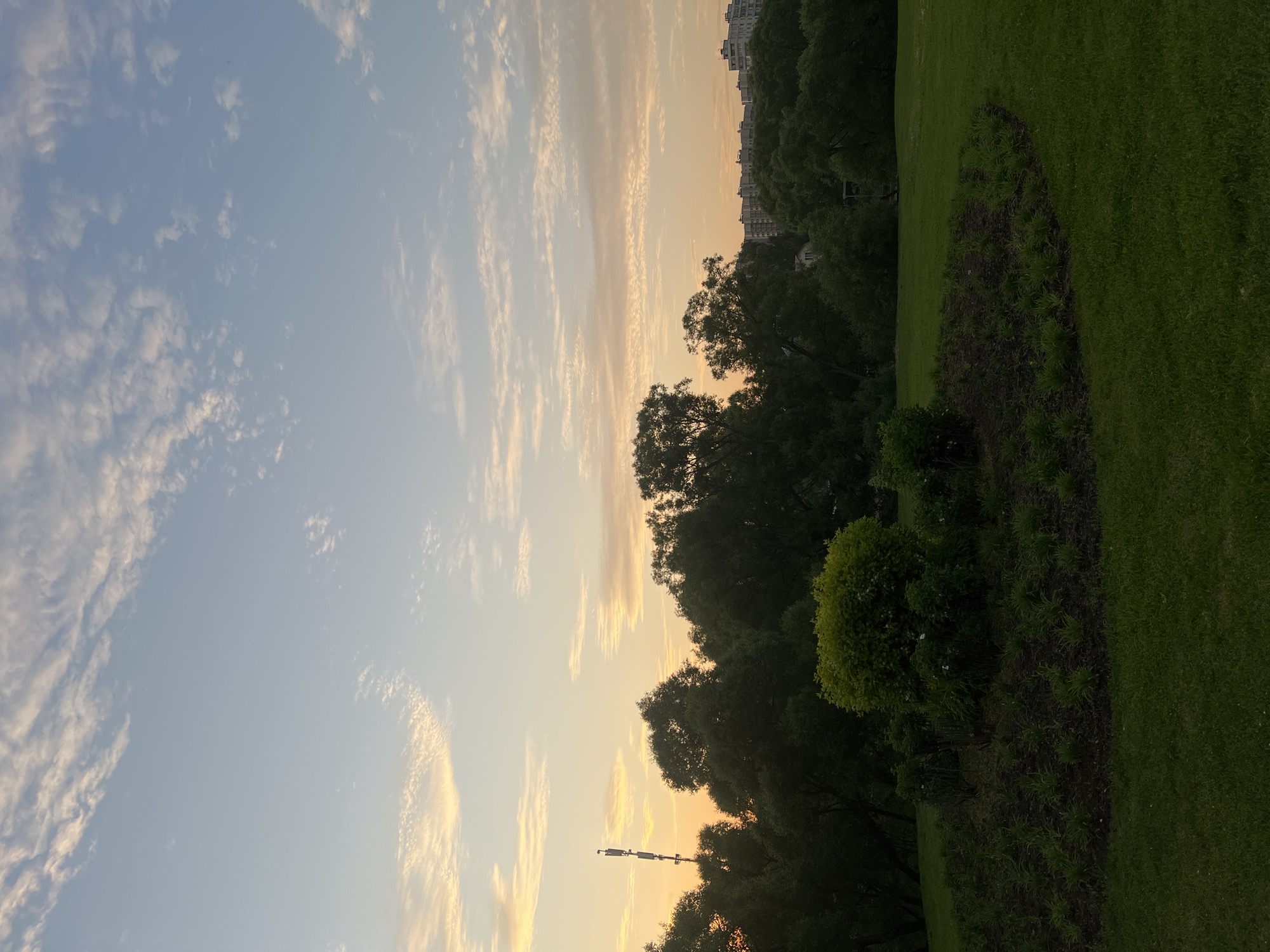 This image depicts a tranquil park scene at sunset in Marushkino, Russia. The sky is a soft gradient of blue and peach, with wispy clouds scattered across it. In the foreground, a neatly manicured lawn is interrupted by a circular flower bed filled with dark soil and small green plants. Behind the flower bed, a dense line of dark green trees forms a natural barrier, their foliage appearing lush and full. To the left of the trees, a tall, slender cellular tower stands stark against the colorful sky. Further in the distance, to the right of the trees, a row of modern apartment buildings with light-colored facades is visible, suggesting the presence of a residential area beyond the park. The overall atmosphere is peaceful and serene, with the setting sun casting a warm glow over the landscape.