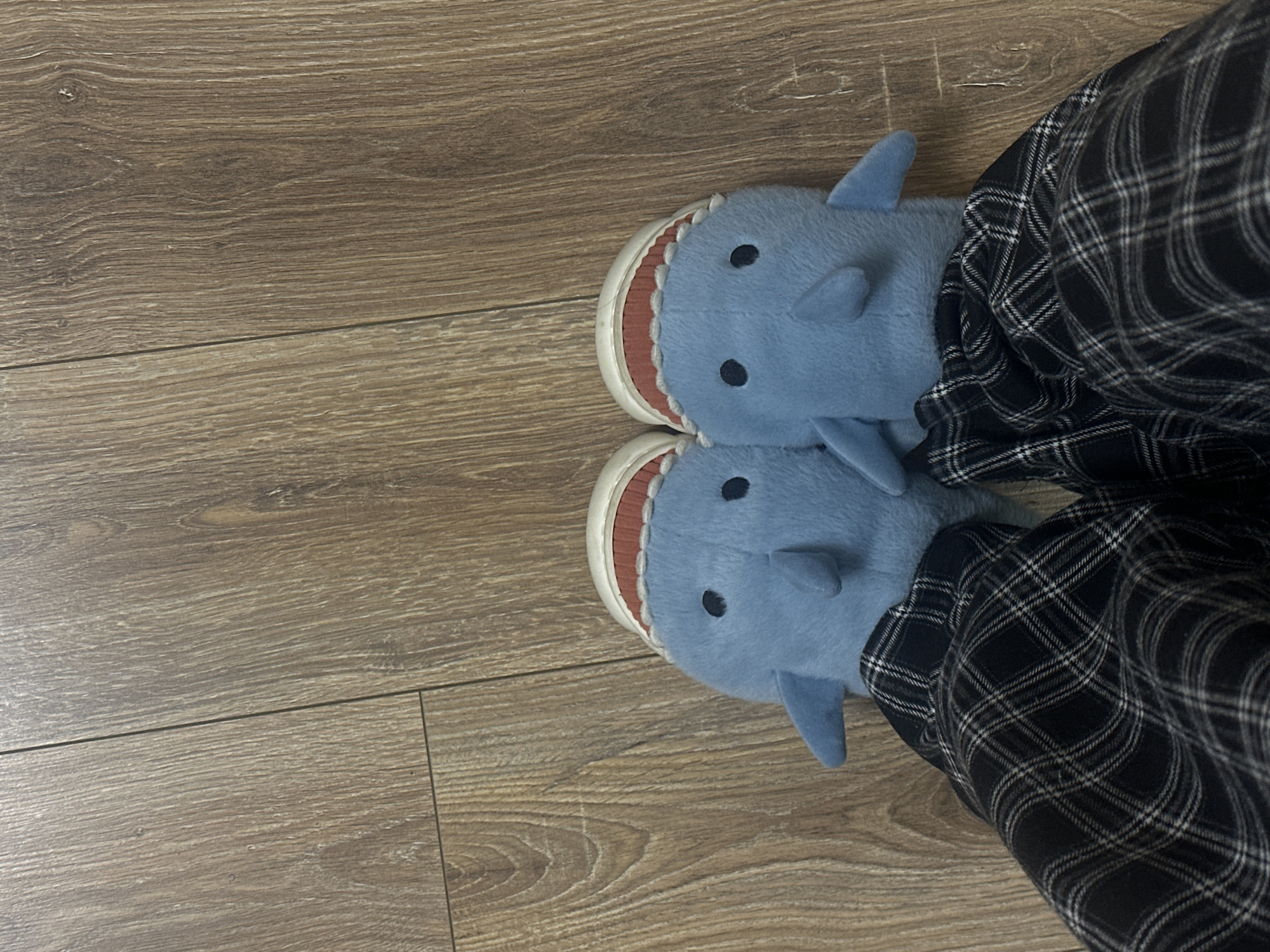 The image shows a pair of blue shark-shaped slippers worn by a person in black and white plaid pants, set on a wood-look floor. The slippers have a white sole with red detailing representing teeth. The location is not discernible from the image.