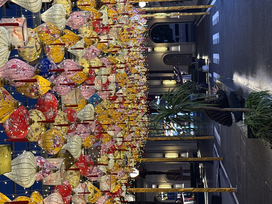 The image depicts an outdoor pedestrian area at night within the Chongqing High-tech Zone, China. A dense overhead canopy of hundreds of illuminated, multicolored traditional Chinese lanterns dominates the scene. These lanterns exhibit various shapes, including oval, tear-drop, and square, in colors such as red, yellow, pink, white, and blue, many adorned with floral patterns and suspended with red tassels. Numerous small LED string lights are interwoven among the lanterns.
The ground consists of dark pavement, with white pedestrian crossing stripes visible further into the background. Vertical golden-colored support pillars are positioned along the sides of the area. In the background, dark-toned buildings with arched doorways and vertical illuminated wall sconces are visible. A white van is partially visible through an archway on the right side of the background.
In the lower-center of the foreground, a single individual is seated on a low, dark planter box or bench. The person is dressed in a dark puffy jacket and dark trousers, facing away from the viewer and slightly to the right, in a crouching posture. They are holding a small, light-colored object in their right hand, appearing to interact with it. A plant with long green leaves and a central stem grows in the planter box directly in front of the seated individual.