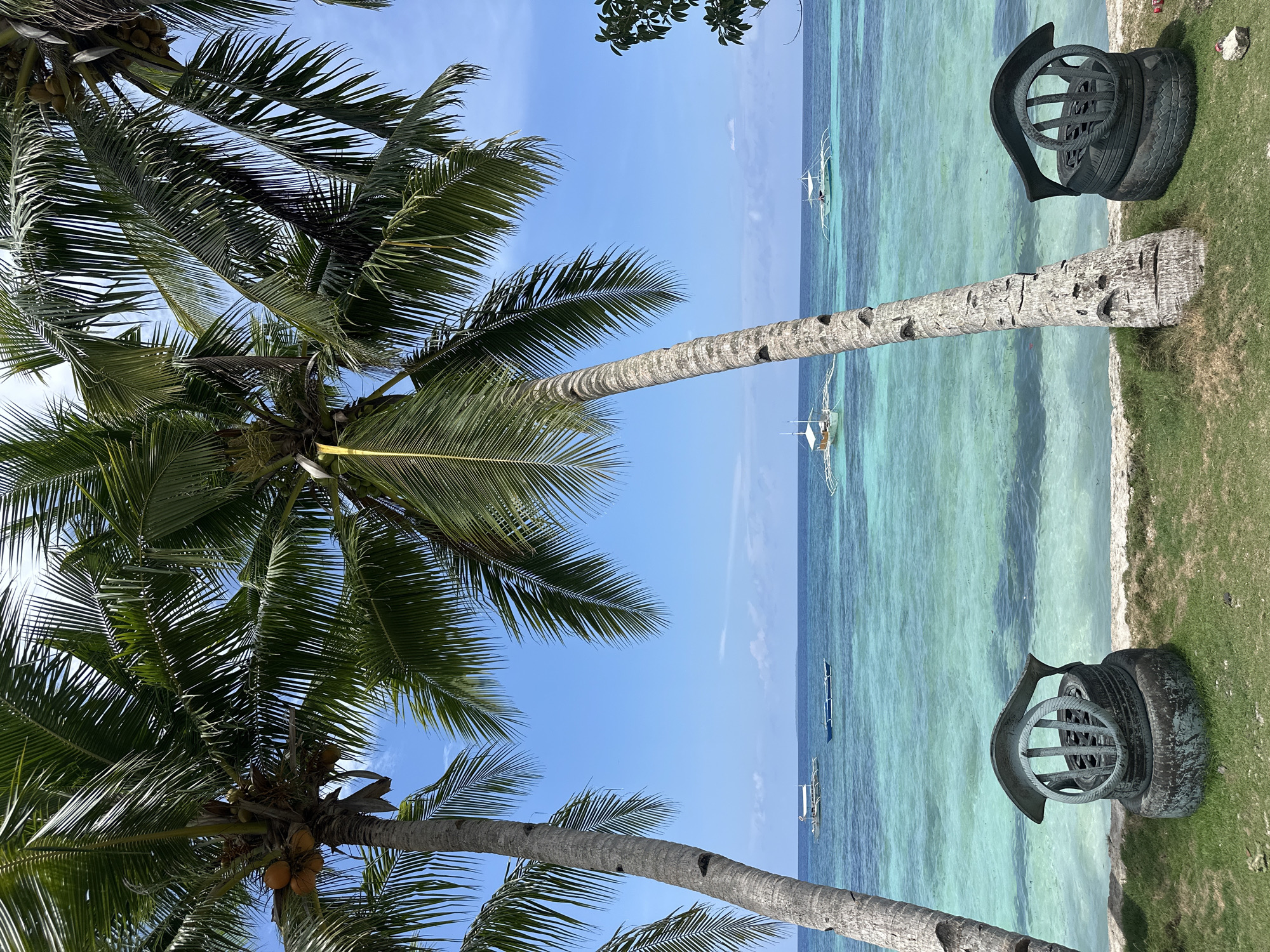 A scenic view of a tropical beach in Panglao, Philippines, is captured under a clear blue sky. Two weathered palm trees frame the foreground, their fronds casting dappled shadows on the lush green grass below. In front of the ocean, two unique chairs made from stacked tires and metal are placed on the grass. The turquoise waters of the sea stretch out to the horizon, dotted with several traditional Filipino outrigger boats, known as "bancas." The gentle waves lap at the sandy shore, creating a serene and idyllic atmosphere. The sunlight glistens on the water, highlighting its clarity and vibrant color.