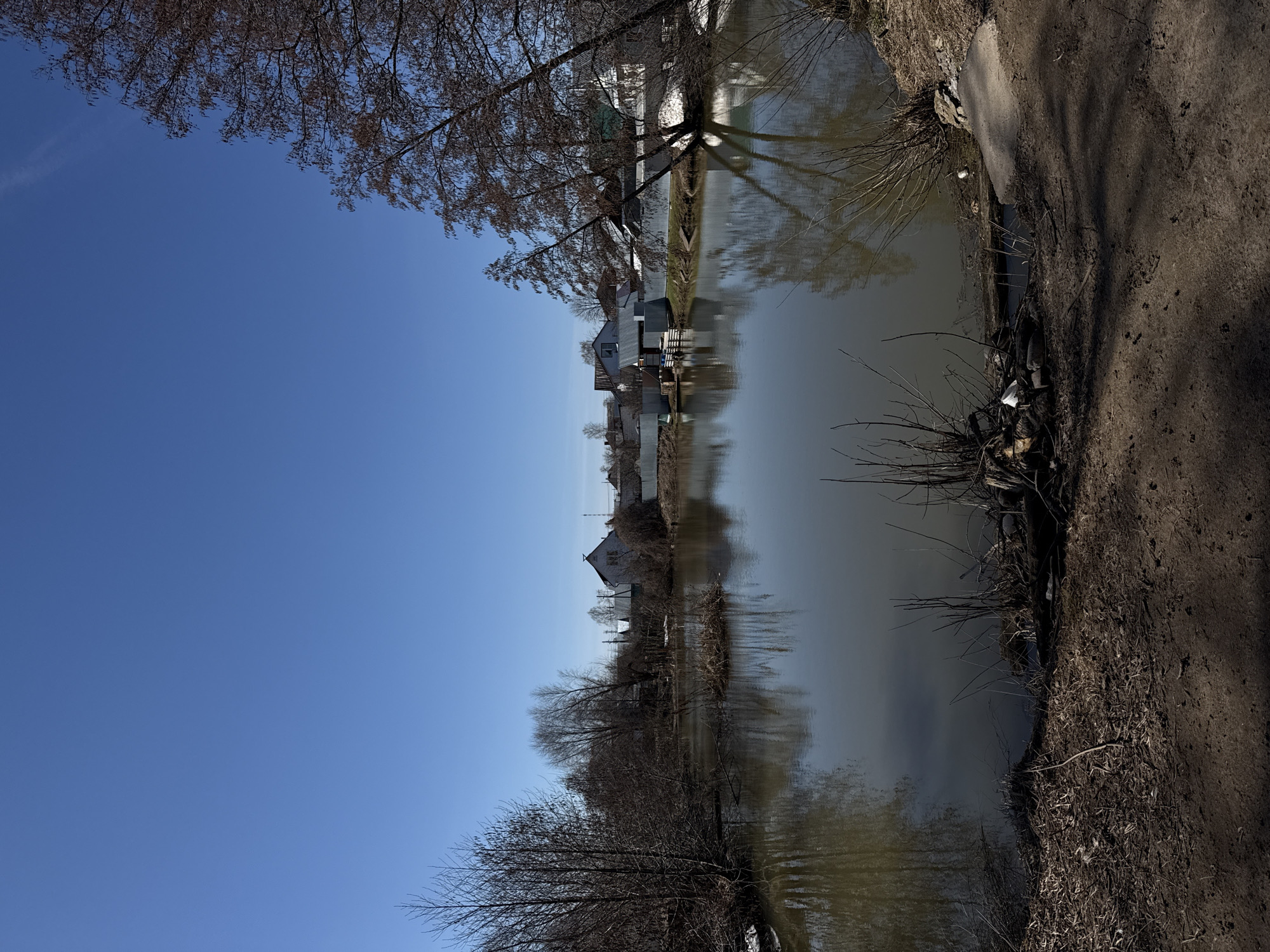 The image shows a body of water reflecting a row of houses in the city of Chaikovsky, Russia. Bare trees frame the top and bottom of the image, while the sky is visible on the left side. A dirt path borders the water on the right.