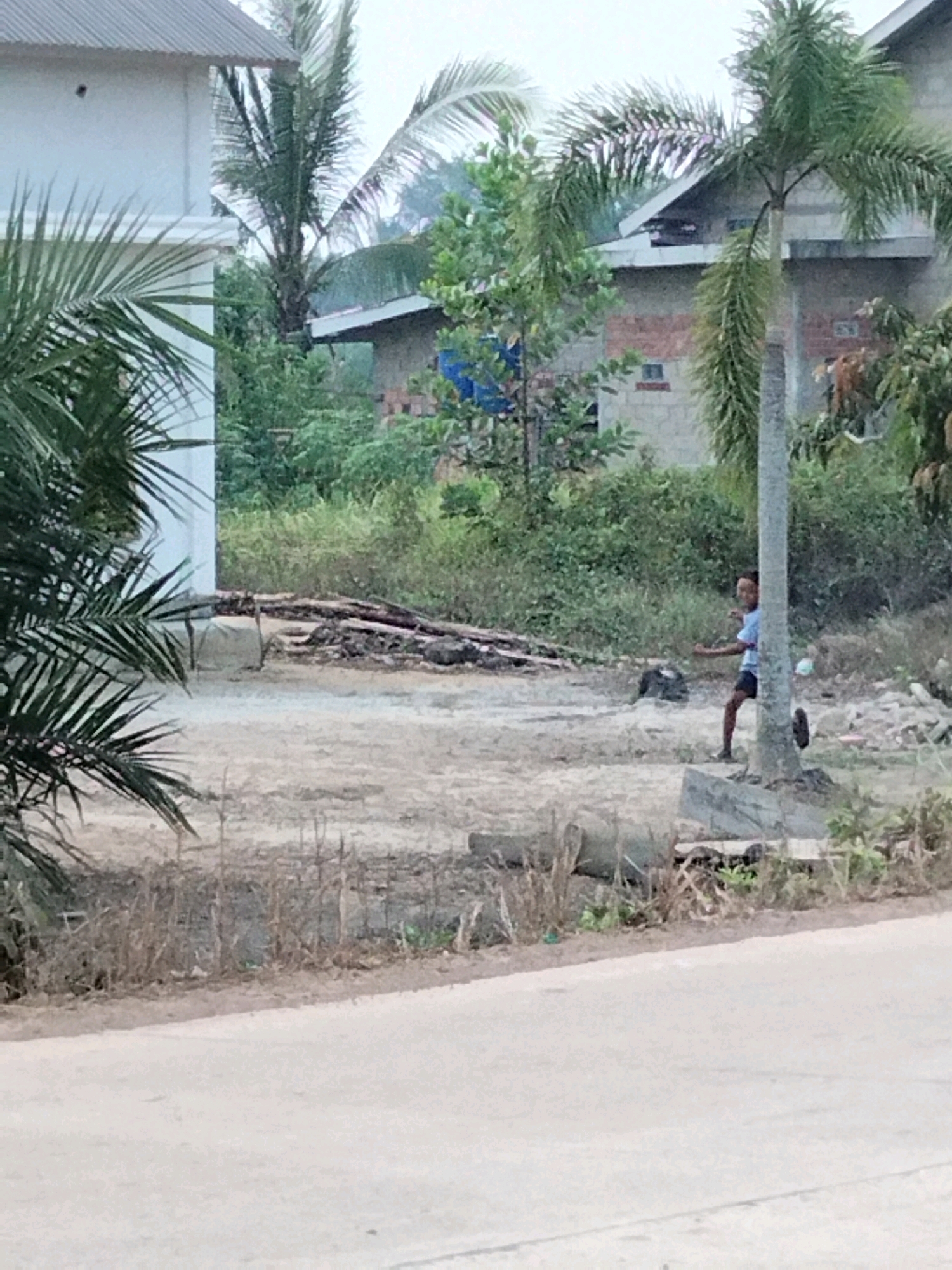 The image shows a child playing near a palm tree in a semi-urban environment. The child, wearing a blue shirt and dark shorts, is in motion, appearing to kick or throw something. The background includes a white building on the left, a house with a brick facade and a sloped roof, and dense green foliage with palm trees. There are piles of debris, including logs and construction materials, scattered on the ground. A paved road runs along the bottom of the image. The lighting suggests it is daytime, with a slightly overcast sky. The scene appears to be located in Perambahan, Indonesia, as indicated by the characteristic vegetation and building styles.