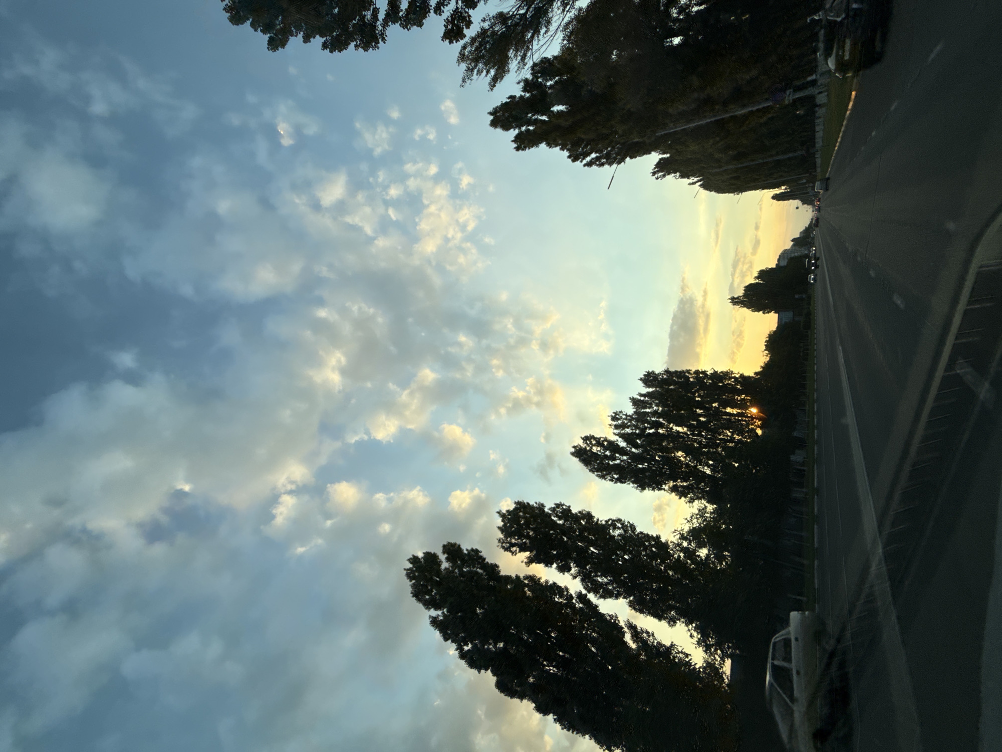 The image depicts a road in Stary Oskol, Russia, at sunset. The perspective is from a vehicle moving along the road, suggesting a journey or commute. Tall, dark trees line the left side of the road, their branches silhouetted against a pale sky. The sky is filled with scattered clouds, some tinged with the warm hues of the setting sun, while others are a muted blue-gray. The sun itself is partially obscured by the trees, casting a golden glow through the foliage.
On the right side of the image is the road itself, appearing to be a multi-lane highway. There are several cars visible on the road, indicating traffic. The road surface is dark asphalt, with lane markings faintly visible. A concrete barrier or divider separates the road from the grassy verge on the right. The overall impression is of an urban or semi-urban environment, given the presence of the road and traffic, but softened by the natural elements of trees and sky.
The time of day is clearly sunset, characterized by the warm light and the color of the sky. The weather appears to be clear with some cloud cover. The location cues, such as the trees and the style of the road and barriers, are consistent with a Russian setting. There is a sense of calm and transition associated with sunset. No people are prominently visible, and no text is discernable in the image.