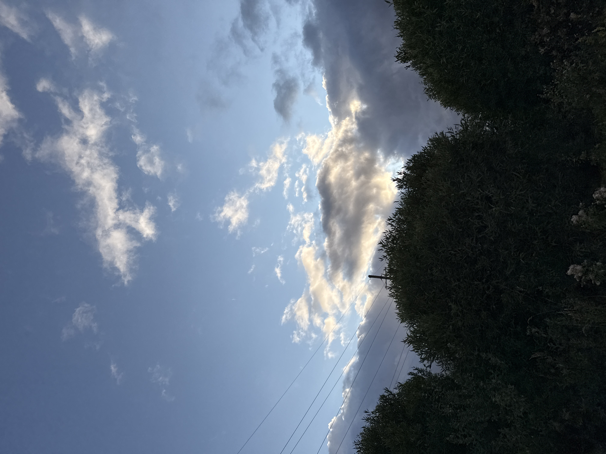 The image shows a landscape view of the sky and trees in Uuesalu, Estonia. The sky is partly cloudy with a mixture of light and dark clouds. The sun is visible behind some of the clouds, casting a warm glow. There are several power lines stretching across the sky. In the foreground, there are dark green trees and some dry grass. The overall impression is one of a natural setting during daylight hours.