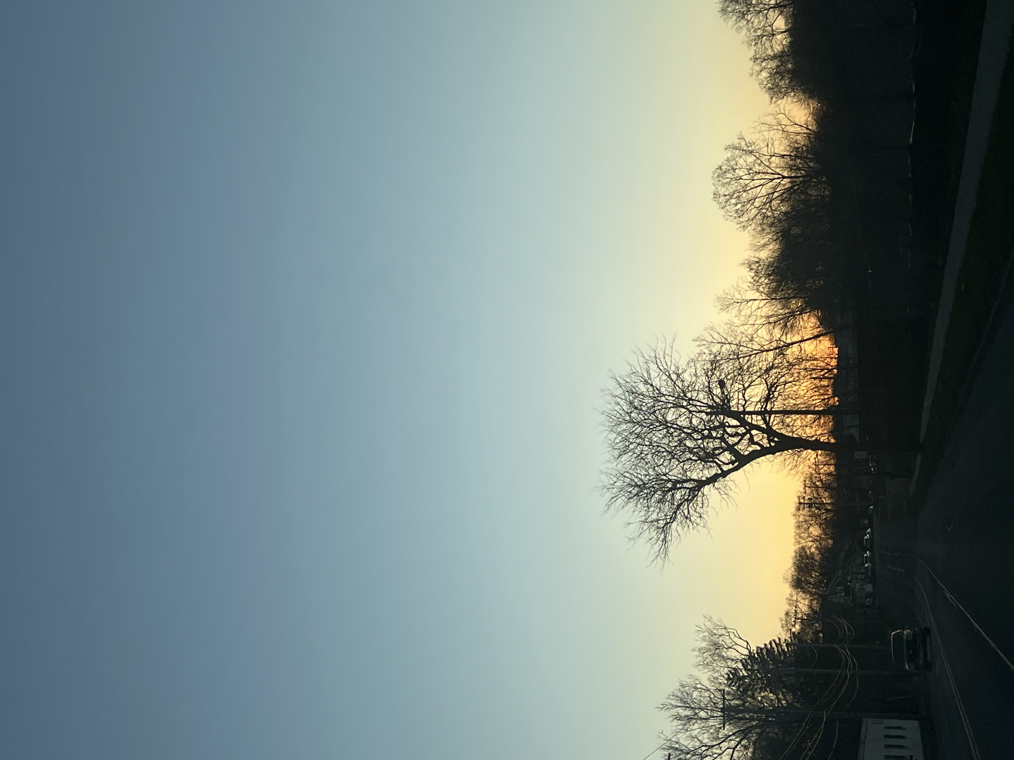 The image shows a horizontal view of a landscape, likely taken at dusk or dawn due to the gradient sky. The sky transitions from a light blue on the left to a warm yellow on the right, suggesting the direction of the sun. Silhouetted trees, bare of leaves, are visible along the horizon line on the right side of the image. There is a single, prominent tree with intricate branch patterns extending towards the sky. A road runs along the bottom edge of the image with vehicles traveling on it. Based on the architecture and landscape elements, the location could be the City of Newburgh, United States of America.