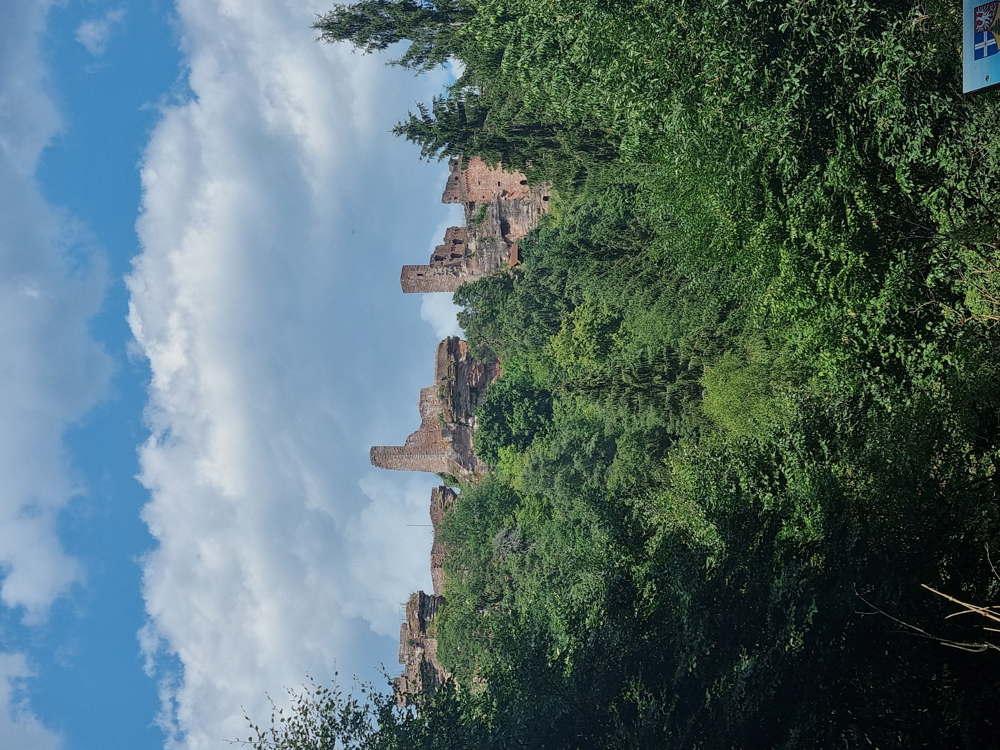 This media file depicts the ruins of a castle perched on a rocky outcrop, partially obscured by lush green foliage. The castle's weathered stone walls and crumbling towers suggest a historical structure with a long past. The surrounding trees are dense and vibrant, indicating a natural, possibly wooded, environment. In the background, a blue sky with scattered white clouds suggests a clear and pleasant day, likely during daylight hours. The overall scene evokes a sense of history and nature intertwined.
The image is oriented vertically, with the castle ruins appearing in the upper left portion of the frame. The sky dominates the left side, showcasing a dynamic play of light and shadow on the clouds. The trees fill the right and lower portions of the image, creating a natural frame for the castle. There are no visible people or specific objects other than the castle ruins and the natural elements. The activity is static, focusing on the static presence of the ruins and the landscape.
Notable details include the textures of the stone ruins, the varied shades of green in the foliage, and the contrast between the blue sky and the earthy tones of the castle. The weather appears to be fair, typical for a summer or late spring day. The location cues suggest a historical site in a natural setting, possibly a tourist attraction given the presence of a sign in the far upper right, though the text on the sign is not legible. The scene conveys a feeling of timelessness and the enduring presence of history within the natural world.