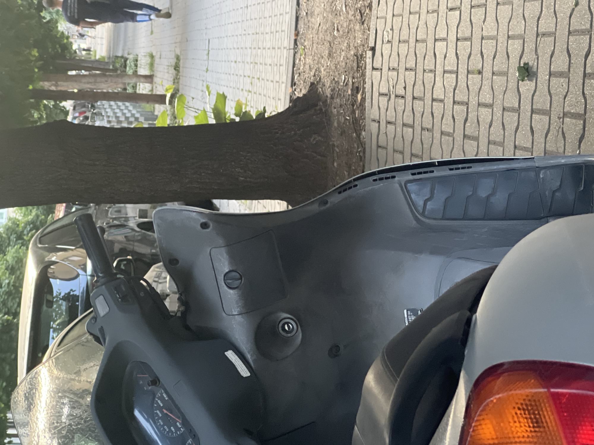 The image depicts a close-up view of a gray scooter parked on a sidewalk in Sofia, Bulgaria. The scooter's handlebars and dashboard are visible in the foreground, with a speedometer reading approximately 40 km/h. To the right of the scooter, a tree trunk stands tall, and beyond that, a paved sidewalk lined with more trees stretches into the distance. A person wearing a black t-shirt and blue athletic pants with white stripes is walking away from the camera on the sidewalk. The ground is covered with interlocking concrete pavers. The overall scene suggests an urban environment, likely a street or park area.