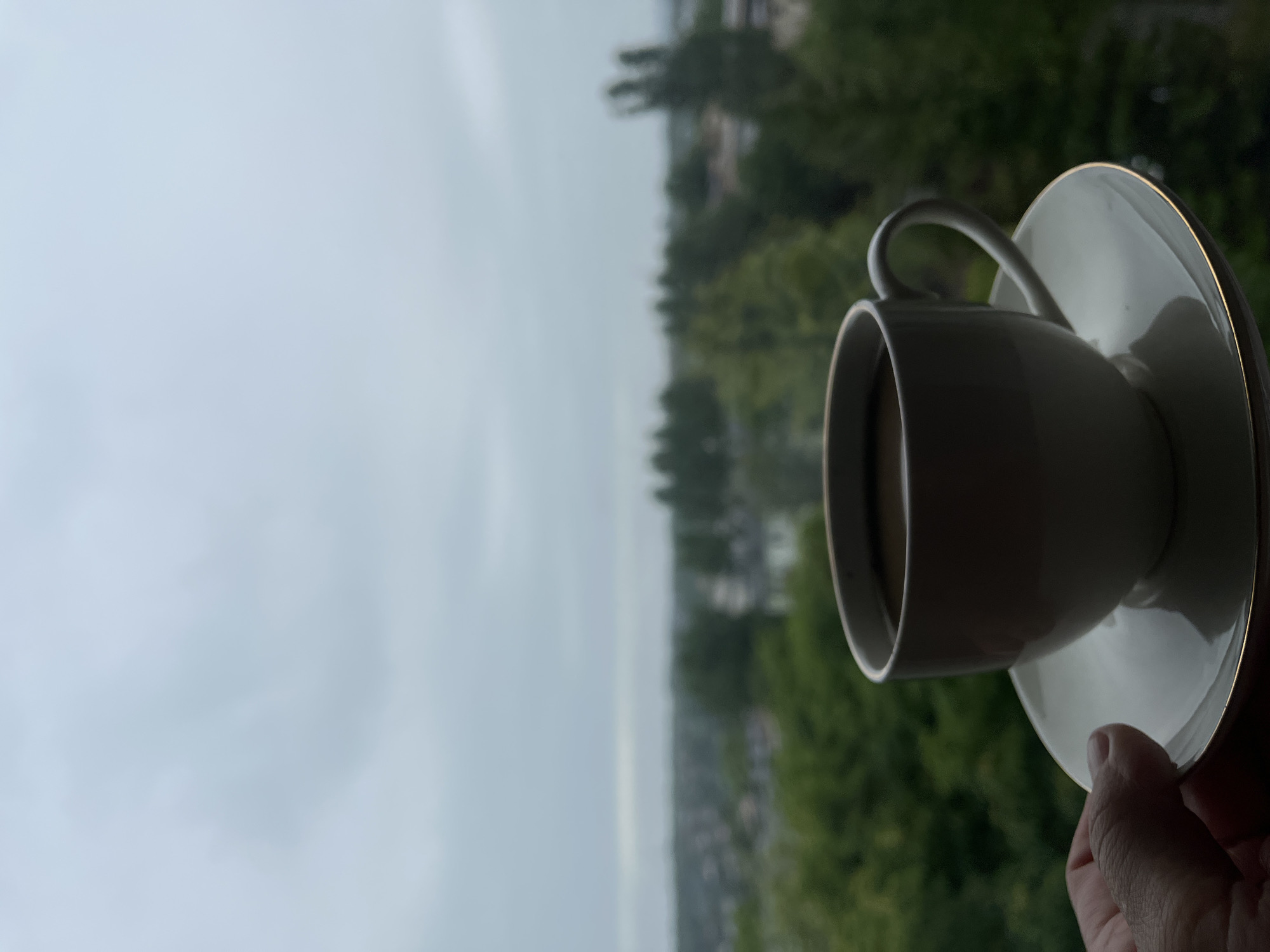 A hand holds a white ceramic coffee cup and saucer, filled with dark liquid, in front of a blurred background. The background depicts a hazy cityscape with green trees and buildings under a cloudy sky. The cup has a curved handle and a gold rim, as does the saucer. The hand is positioned at the bottom left of the frame, obscuring a portion of the saucer. The scene is dimly lit, suggesting it might be early morning or late afternoon, or an overcast day.
