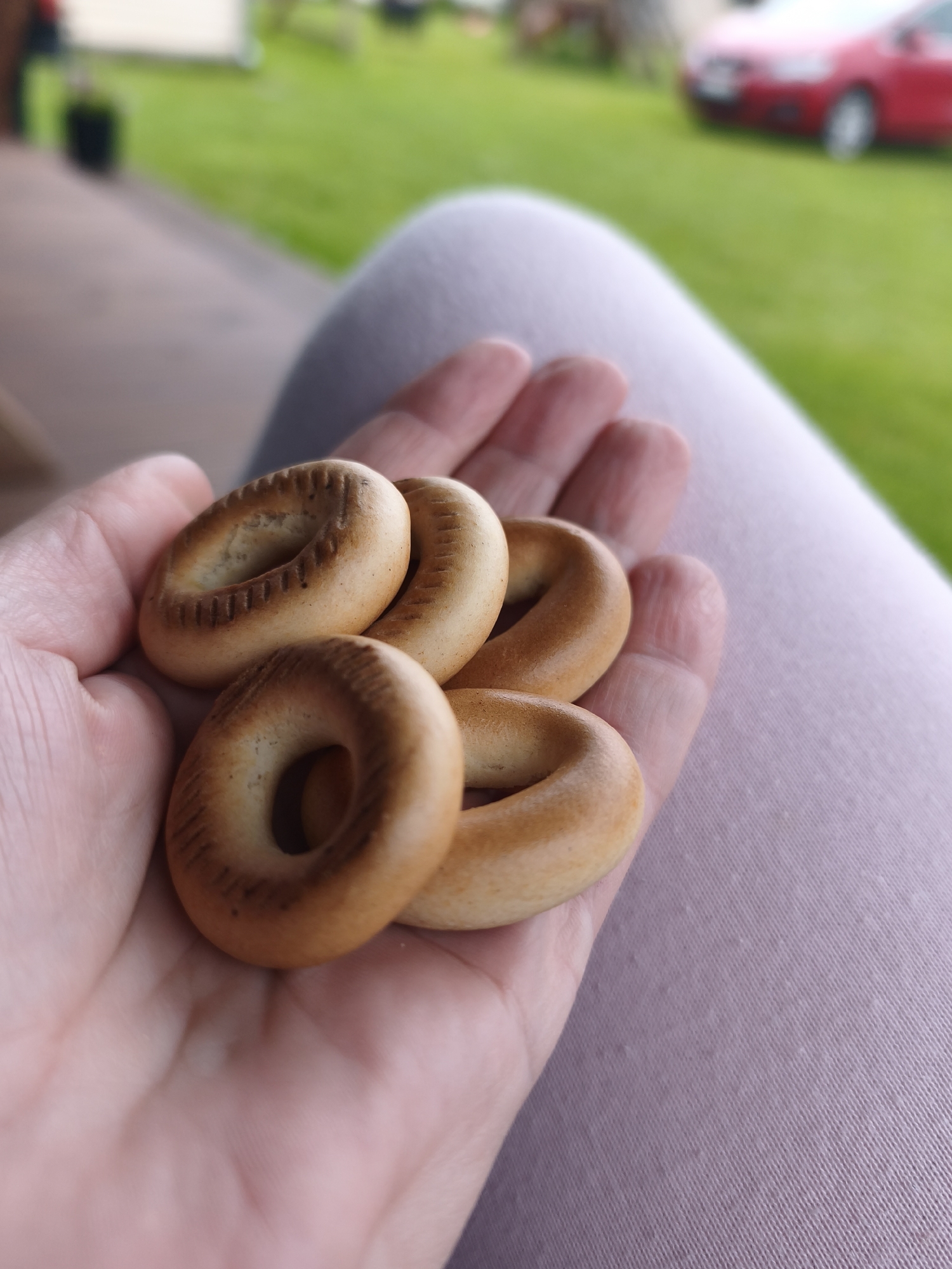 A close-up shot shows a person's open hand holding five small, ring-shaped pastries. The pastries are golden brown and appear to be dry and slightly crisp, with visible indentations or lines on their surfaces. The hand is gently cupping the pastries, with fingers slightly curled. In the background, out of focus, is a blurred expanse of green grass, a paved surface that appears to be a porch or walkway, and a red car parked in the distance. The scene suggests an outdoor setting, possibly a backyard or park, in the city of Brodi, Latvia. The overall lighting indicates it is daytime.