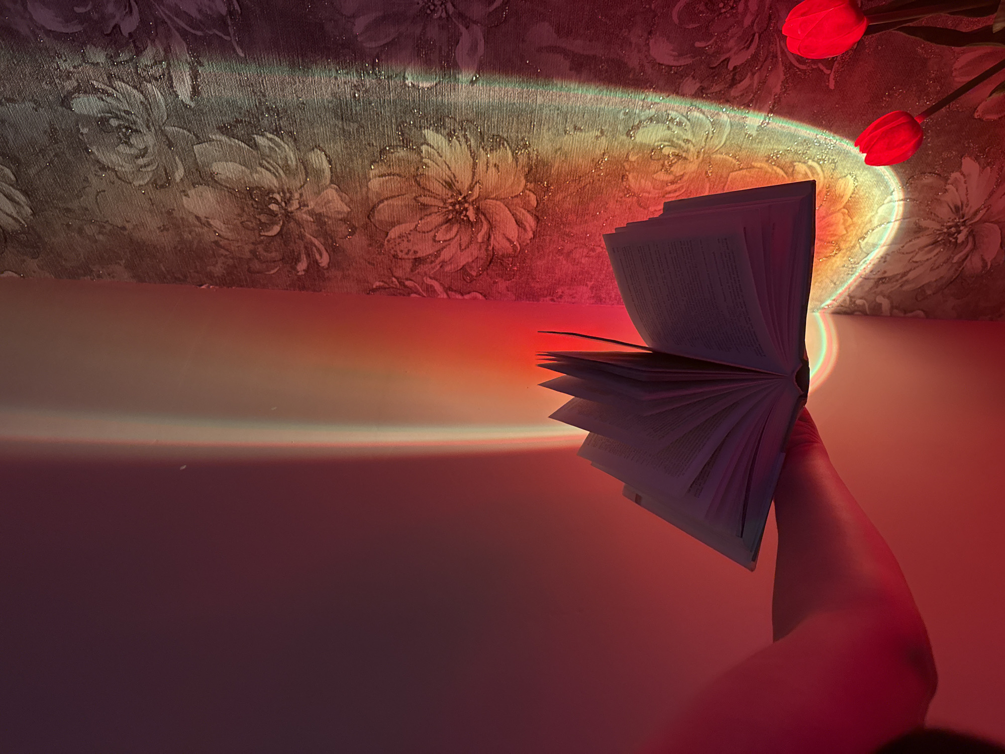 In an indoor setting, a person's arm and hand hold open a book. The book is positioned in the foreground, angled slightly upwards, with its pages spread wide. The arm, illuminated by warm, reddish-pink light, is bent at the elbow, suggesting the person is either standing or sitting.
The background features a wall with floral wallpaper, subtly visible beneath a dramatic projection of light. This light appears as a series of vertical bands in various colors, including red, orange, yellow, and green, creating a rainbow-like effect. The light emanates from an unseen source, possibly a projector or a specific type of lamp, casting a vibrant glow on both the wall and a plain, darker surface to the left.
In the lower right corner of the image, two bright red tulip flowers are visible, adding a pop of color to the scene. The overall lighting is moody and atmospheric, dominated by the colored light projection and the warm tones of the illumination. The focus is primarily on the book and the hand holding it, with the background providing a richly textured and vibrantly lit context.