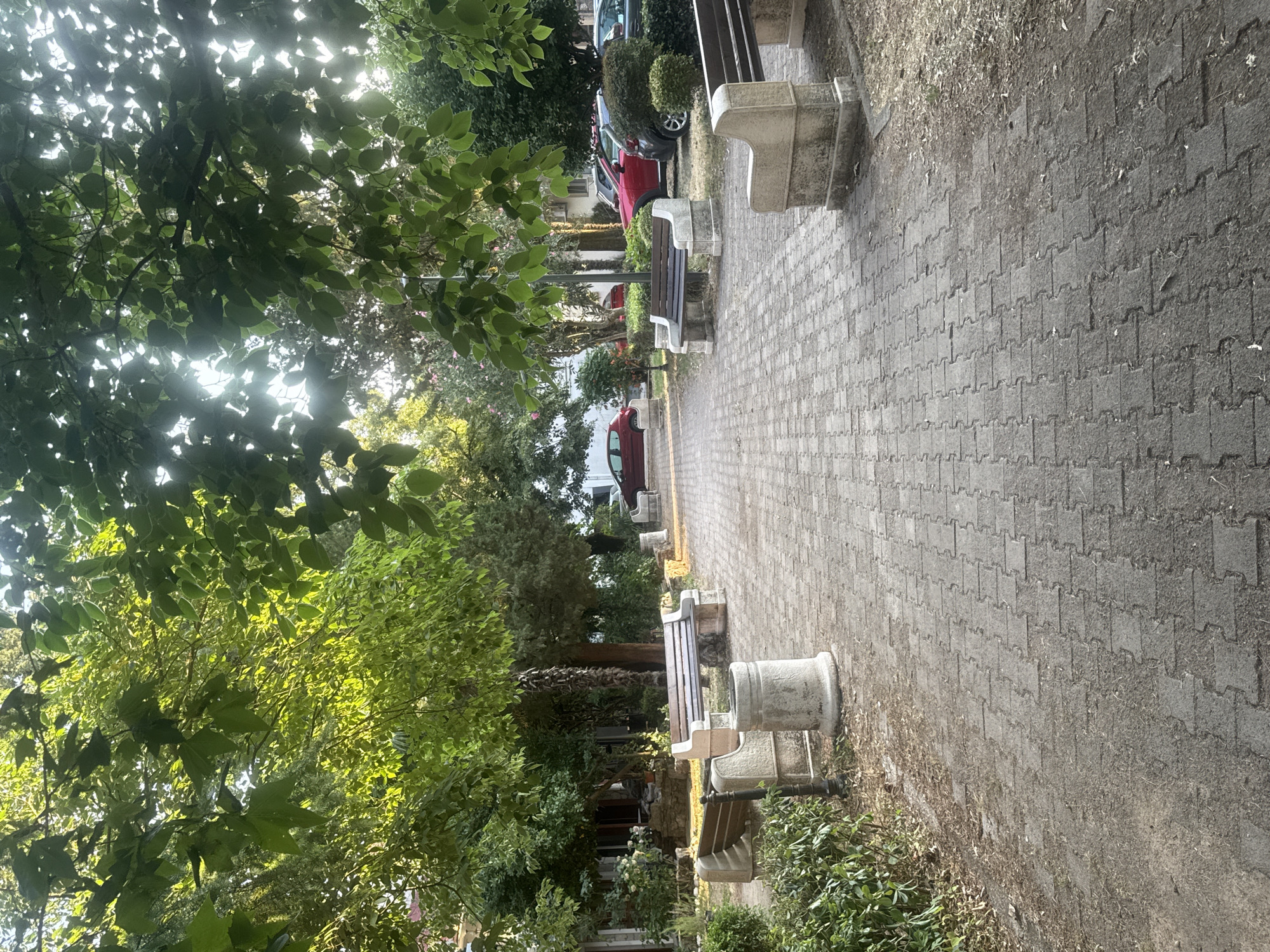 The image depicts an outdoor scene with a paved pathway lined with benches and trees. The pathway is constructed with grey interlocking pavers, and dry grass and leaves are visible along its edges. Several park benches with stone bases and wooden slats are positioned along the pathway, suggesting a public space intended for rest and relaxation.
On the left side of the pathway, lush green foliage from trees overhangs the scene, with sunlight filtering through the leaves, indicating it's daytime, likely morning or afternoon. In the background, cars are parked, and buildings can be seen partially obscured by trees and hedges. The overall setting appears to be a park or a public square in a town or city, with a natural, somewhat unkempt feel due to the presence of dry grass and leaves.
There are no people visible in the image, and no specific activity or event is taking place. The scene is static and serene. Notable details include the style of the benches, the pattern of the paving stones, and the interplay of light and shadow created by the foliage. The location cues, such as the Mediterranean-like vegetation and architecture hinted at in the background, are consistent with the provided location context of Virpazar, Montenegro. The weather appears to be clear and sunny. There is no visible text in the image.
