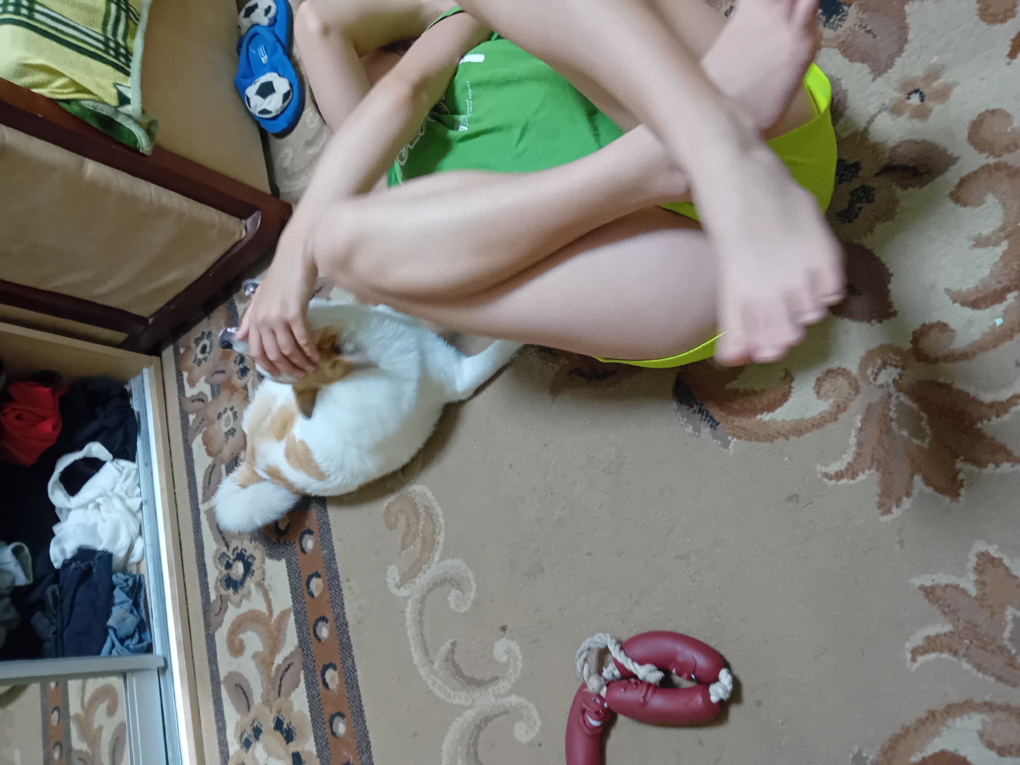The image depicts an indoor scene on a patterned carpet. A white and ginger cat is lying on its side, being petted by a person whose legs are visible in the foreground. The person is wearing a green t-shirt and yellow shorts, with their legs crossed. To the left of the cat, there is a red toy with a rope. In the background, there's a wardrobe with open doors revealing folded clothes and a piece of furniture with a cream-colored cushion. A pair of blue slippers with soccer ball designs are visible to the right. The scene appears to be a casual moment at home, and there is no indication of the specific location within Chuhuiv, Ukraine.