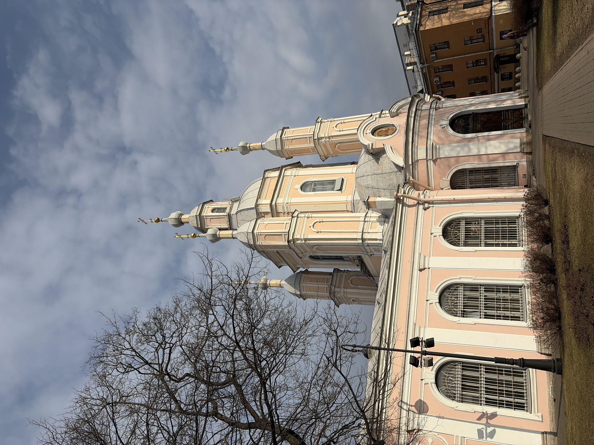 The image depicts the exterior of the Smolny Cathedral in Saint Petersburg, Russia. The cathedral is light pink with white trim, featuring multiple domes and spires topped with golden crosses. The building has arched windows with metal grilles and a large wooden door. A bare tree stands in the foreground, and a lamppost is visible on the right side. The sky is cloudy with patches of blue. A yellow building is in the top right corner of the picture.
