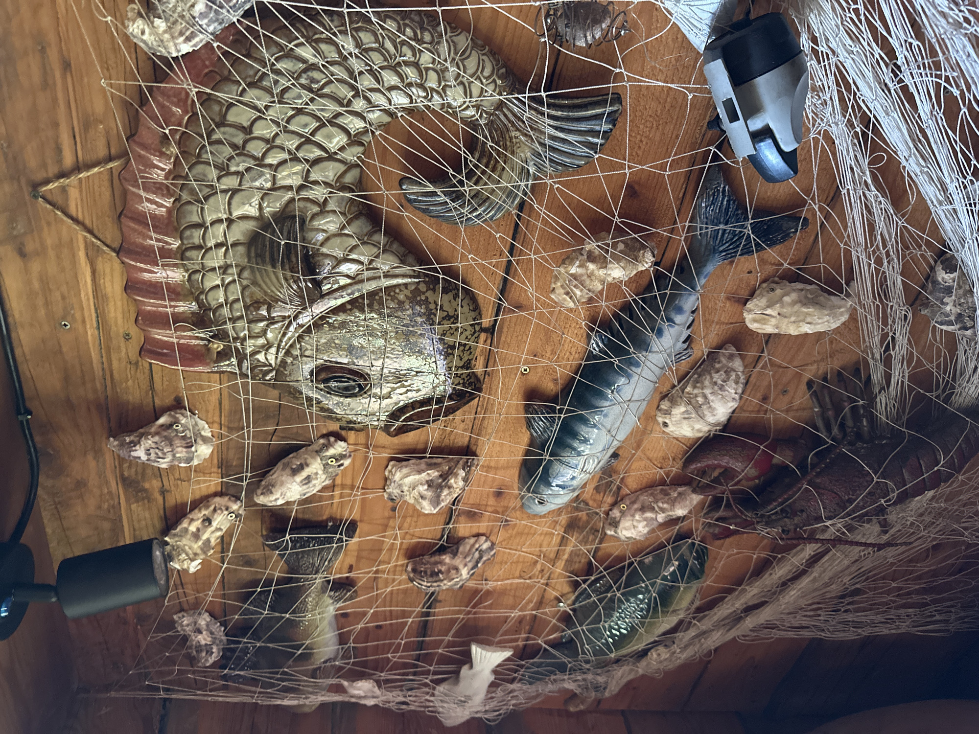 The image depicts a wall decorated with a collection of marine-themed items, including faux fish, oyster shells, and a lobster, all suspended by a fishing net. The wall itself is constructed of wooden planks. A spotlight is mounted on the ceiling, illuminating the display. The scene is set in Norviliškės, Lithuania. There are no people visible in the image.