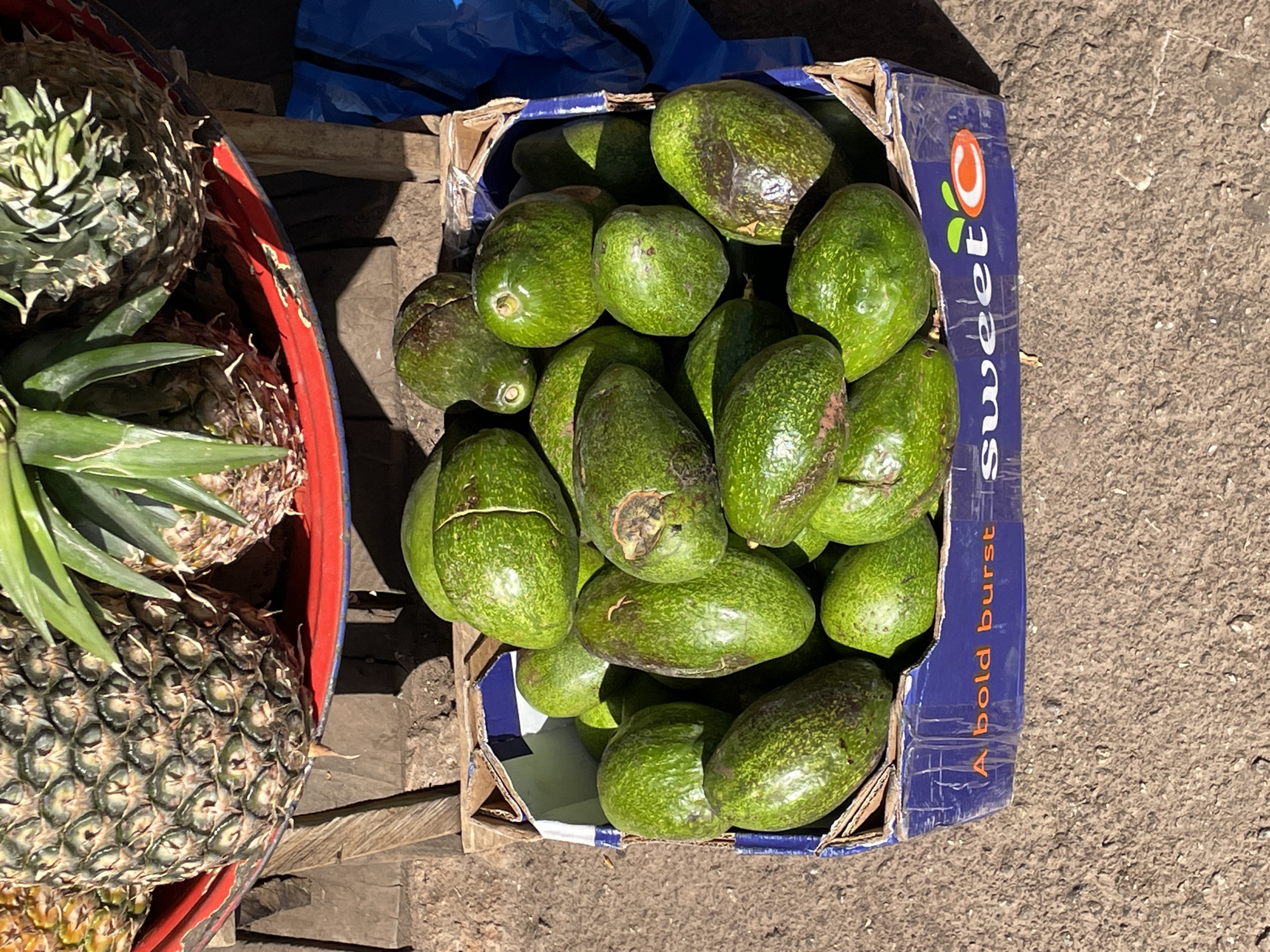 The image presents an elevated, overhead view of fruits displayed for sale, likely at an outdoor market in Jos, Nigeria. A red, round basin on the left contains multiple pineapples with green tops and textured brown skins. To the right, a blue cardboard box, branded with the text "Sweet" and the phrase "A bold burst" on its side, is filled with green avocados. The background consists of a rough, grey surface, potentially a concrete or dirt ground. The scene is illuminated by natural sunlight, casting shadows and highlighting the textures of the fruits and the surrounding environment. No people are visible in the frame.