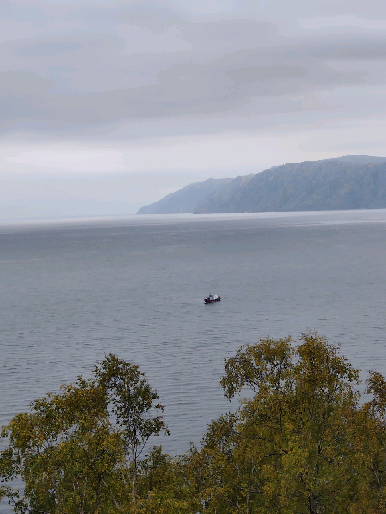 A small, red and white boat is navigating across a wide, calm body of water, likely Lake Baikal, under an overcast sky. In the foreground, the tops of trees with yellow and green foliage are visible, suggesting an autumn setting. In the background, a distant, hazy mountain range forms the horizon. The overall atmosphere is serene and somewhat muted due to the cloudy weather. This scene is typical of the natural beauty found in Listvyanka, Russia, a settlement on the southwestern shore of Lake Baikal.