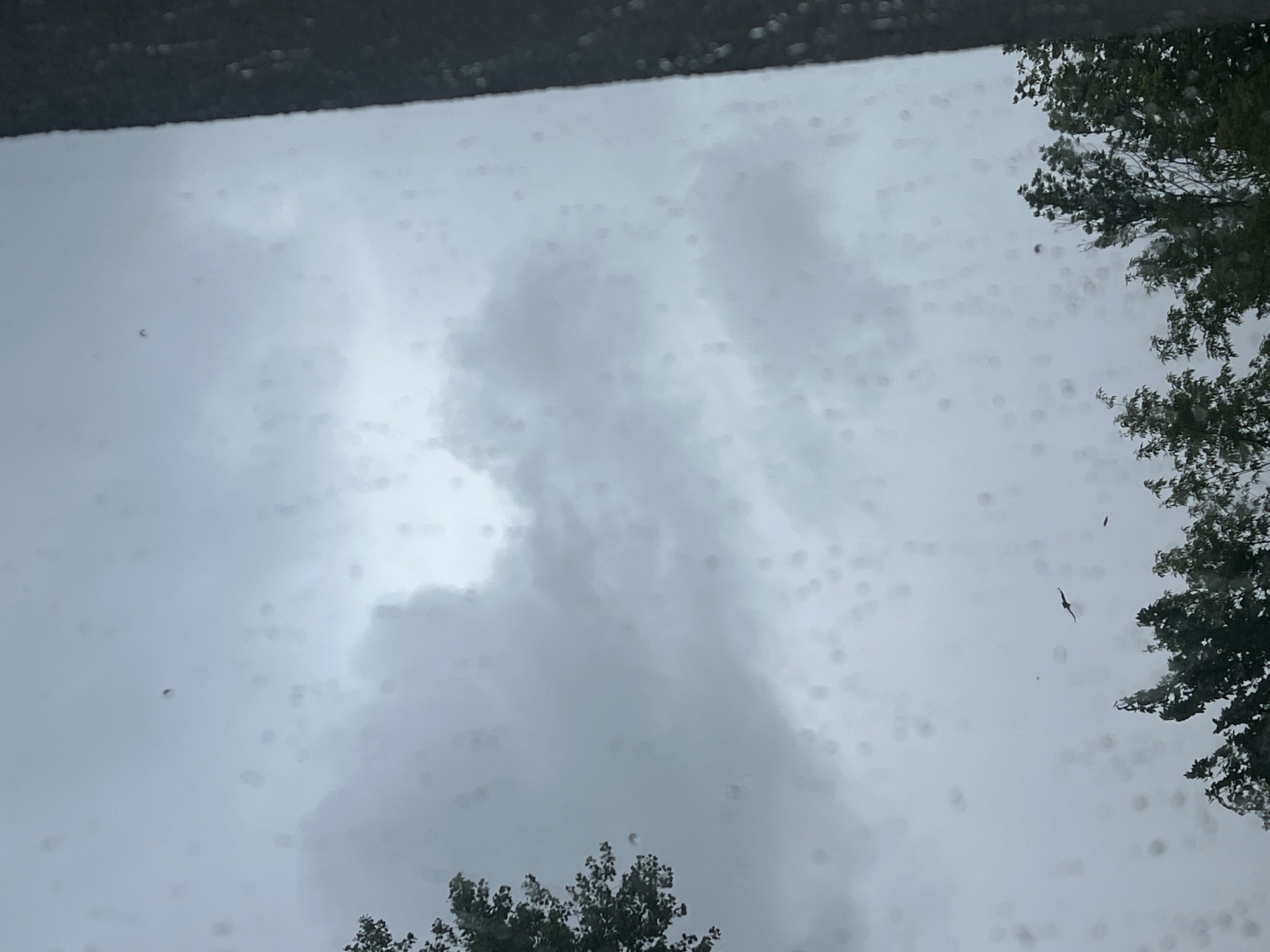 The image captures a gray, overcast sky with scattered raindrops visible on a windowpane, suggesting it is raining. The scene is framed by a dark, blurry band at the top, possibly an overhang, and foliage from trees along the right and bottom edges. A large, dark cloud formation dominates the central sky, with lighter, brighter areas indicating diffused sunlight attempting to break through.
There are two small, dark shapes in the sky that appear to be birds in flight. One is in the upper left quadrant, and another, more distinctly shaped like a bird with outstretched wings, is in the right half of the frame, slightly above the midway point. The overall mood is somber and somewhat moody, consistent with rainy weather. The presence of trees suggests an outdoor or semi-outdoor setting, likely a residential or park area in Warsaw, Poland, given the location context. There is no visible text in the image. The time of day is indeterminate due to the overcast conditions, but the diffused light suggests it is daytime.