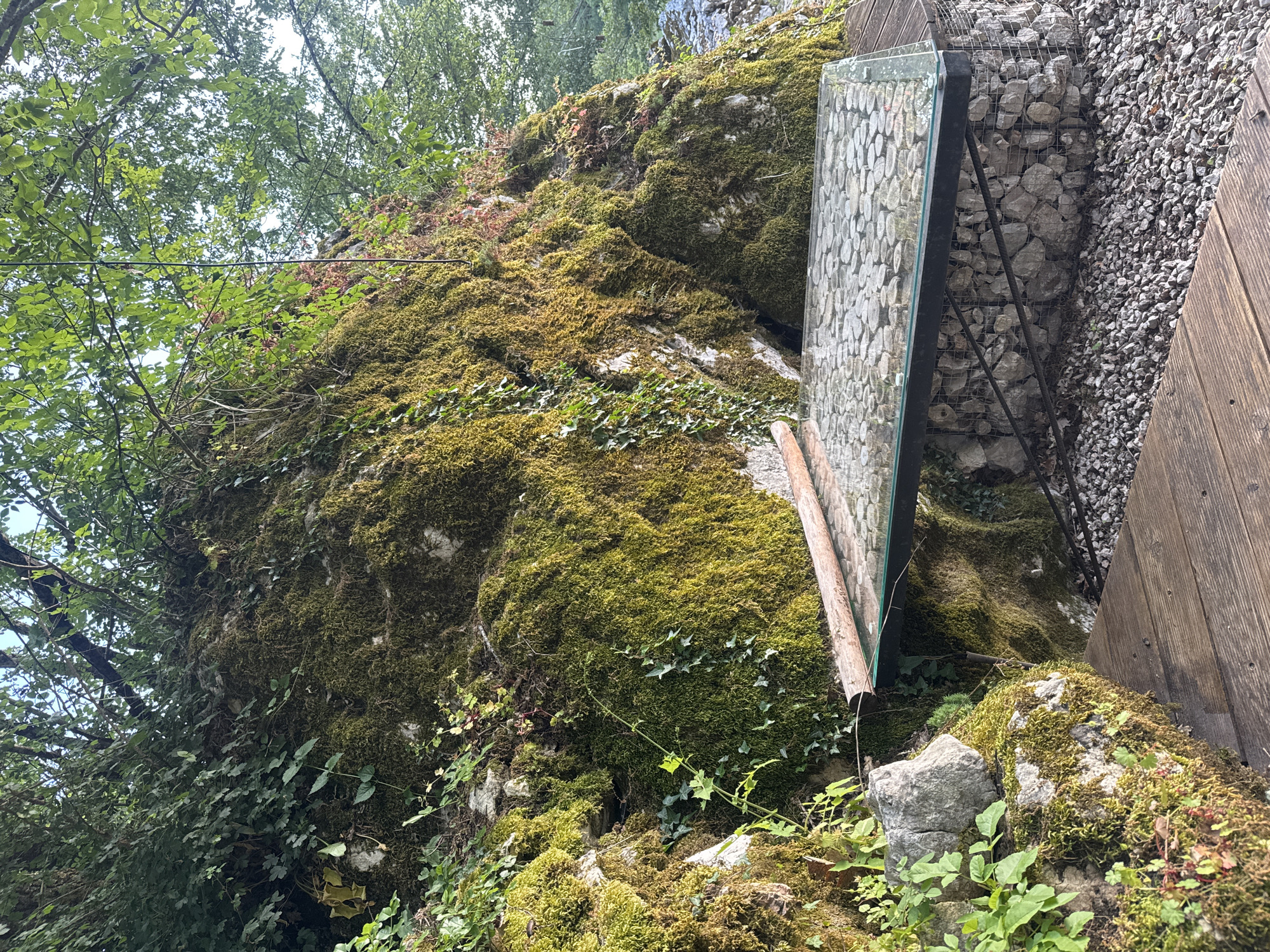 The image captures a moss-covered rock face adjacent to a gabion wall and a wooden structure, potentially a boardwalk or platform. The rock is heavily vegetated with moss and some ivy-like plants. Adjacent to the rock face is a panel seemingly constructed of circular wood slices encased in glass. A gabion wall filled with rocks and a walkway or wall made of wood appear on the right side of the frame. The image may be taken near Bukovik, Montenegro. The photograph is taken at ground level.