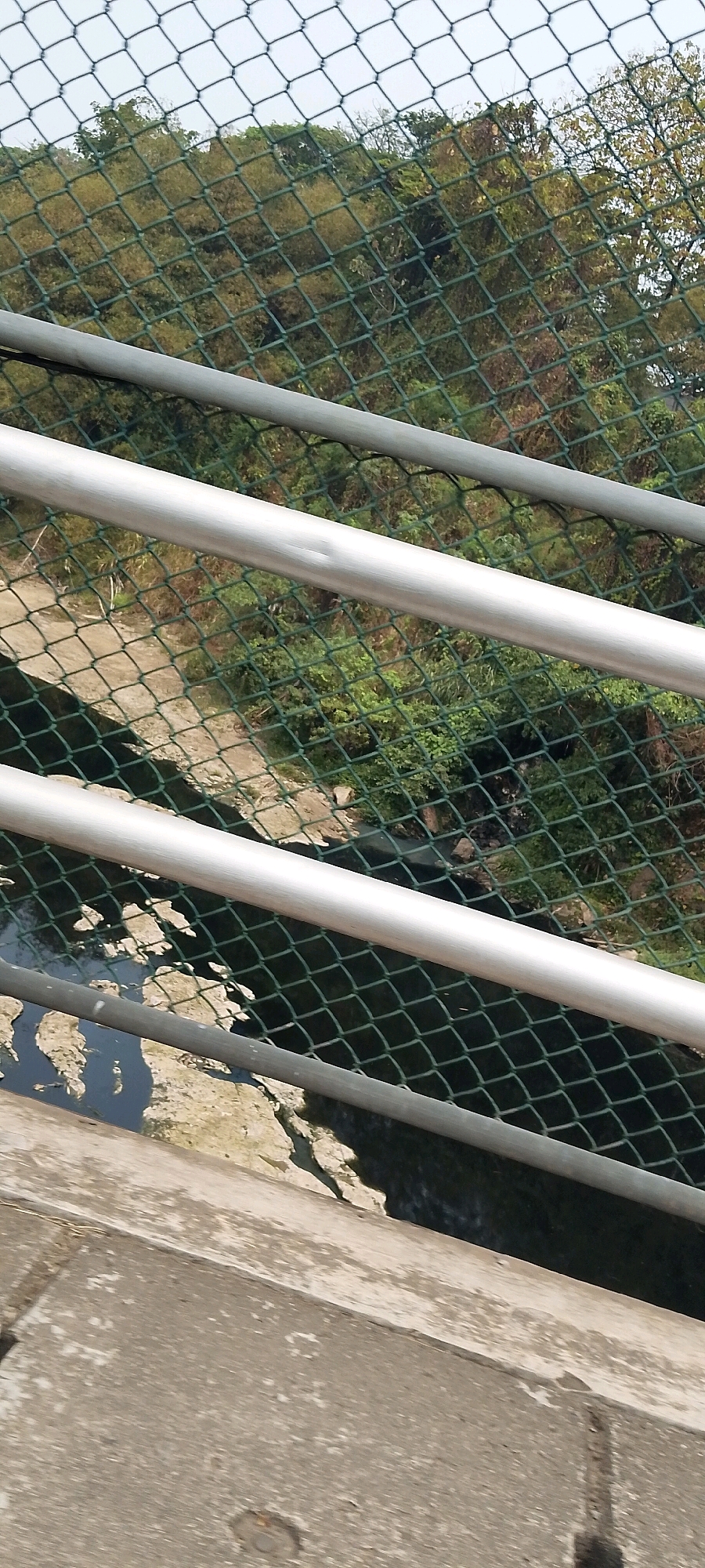 The image depicts a view from a bridge or elevated walkway, looking down and through a diamond-patterned green mesh fence. In the foreground, a concrete structure is visible, along with several horizontal silver railings. Below the railings and through the fence, a natural landscape of lush green trees and vegetation is discernible. A dirt path or track is also visible winding through the greenery. In the lower left quadrant, the shadow of two figures can be seen cast on a light-colored surface, possibly the concrete edge of the bridge. The overall scene suggests an outdoor environment with a focus on nature, viewed from a man-made structure. The presence of the fence implies a safety barrier or a boundary.