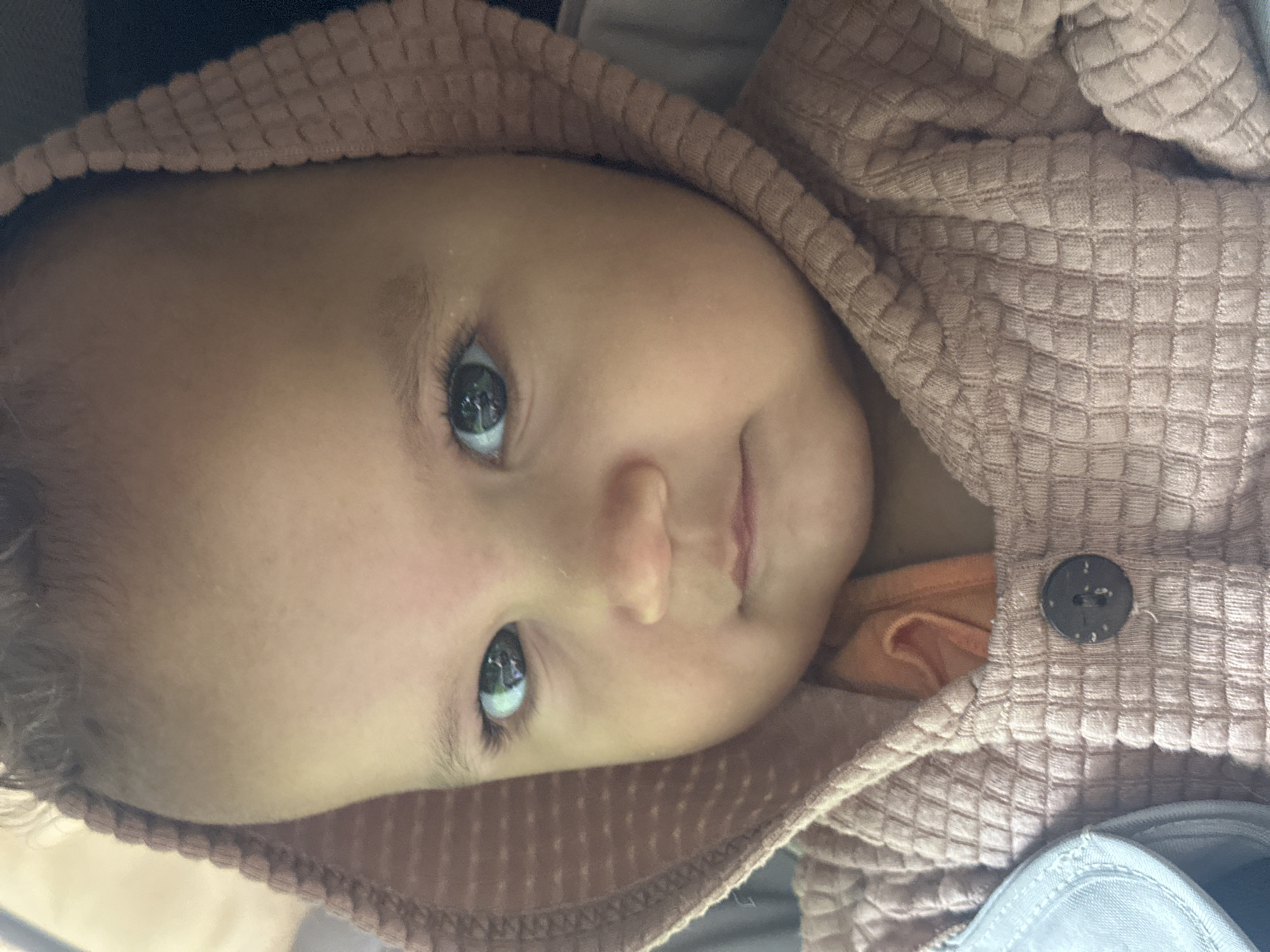 A close-up, head-on, eye-level shot captures a baby wearing a textured, hooded, pink jacket with a dark brown button. The baby has dark hair, large, dark eyes with visible reflections, and fair skin. The jacket's hood is up, framing the baby's face. An orange garment is visible peeking out from beneath the jacket. The background is dark and indistinct. The image was taken on September 14, 2023, at 13:51:07 in Petrozavodsk, Russia.