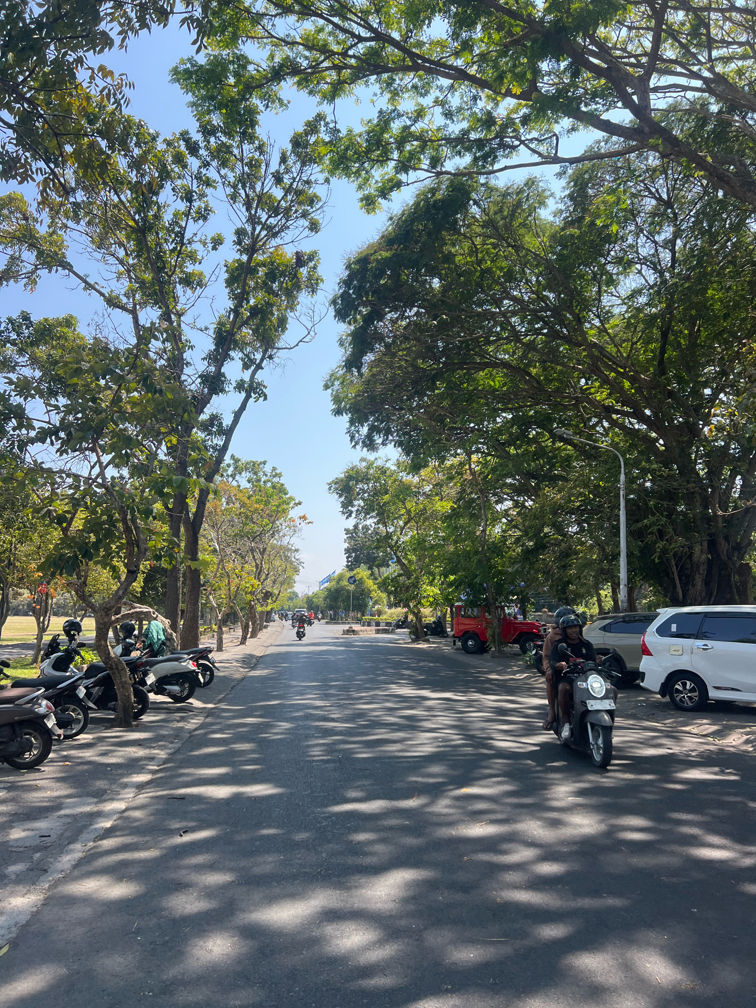 In Denpasar, Indonesia, a sun-dappled asphalt road stretches into the distance, lined with parked motorcycles on the left and a white SUV and a beige car on the right. Lush green trees with spreading branches create a canopy overhead, casting intricate shadows on the road. A dark-colored scooter, carrying two individuals wearing helmets, is prominently featured in the mid-ground, heading away from the viewer. Further down the road, several other motorcycles and a bright red vehicle are visible. The sky is a clear, bright blue. The overall scene depicts a typical day on a tree-lined street in an urban environment, with the presence of personal vehicles and the natural beauty of mature trees.
