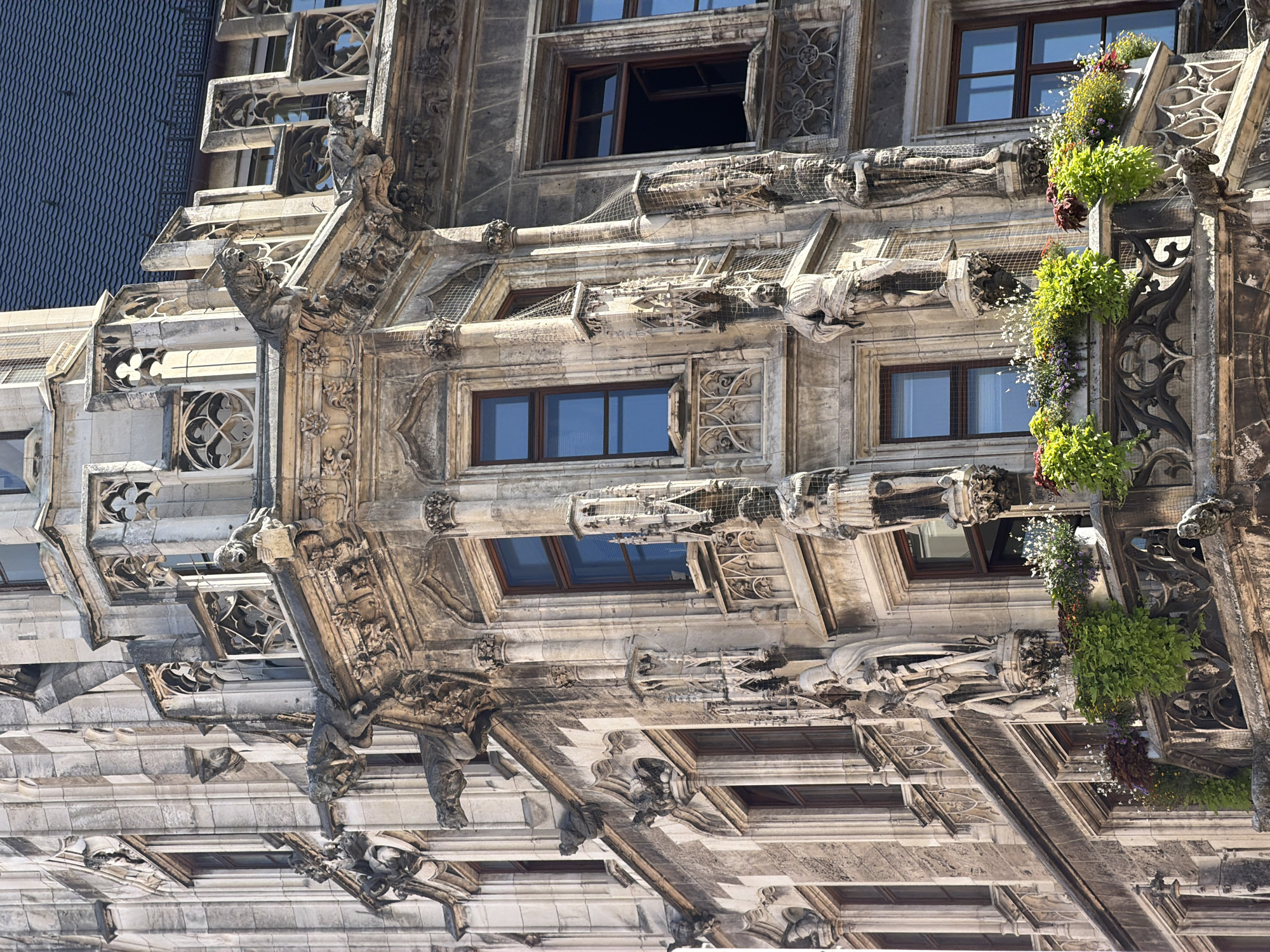 The image captures a detailed view of the intricate Gothic architecture of the New Town Hall (Neues Rathaus) in Munich, Germany. The perspective is a low-angle shot looking up at the corner of the building, showcasing its ornate stone carvings, gargoyles, statues, and multiple windows.
The building's facade is constructed from light-colored stone, with various architectural elements including arched windows, decorative tracery, and prominent gargoyles jutting out from ledges. Several statues of figures in historical attire stand on pedestals along the balconies. The balconies themselves are adorned with detailed stonework and filled with planters overflowing with vibrant green foliage and small white and purple flowers.
The windows are mostly rectangular with dark frames, and some are open, revealing glimpses of the interior. A dark blue tiled roof is visible at the top of the building. The overall impression is one of historical grandeur and meticulous craftsmanship.