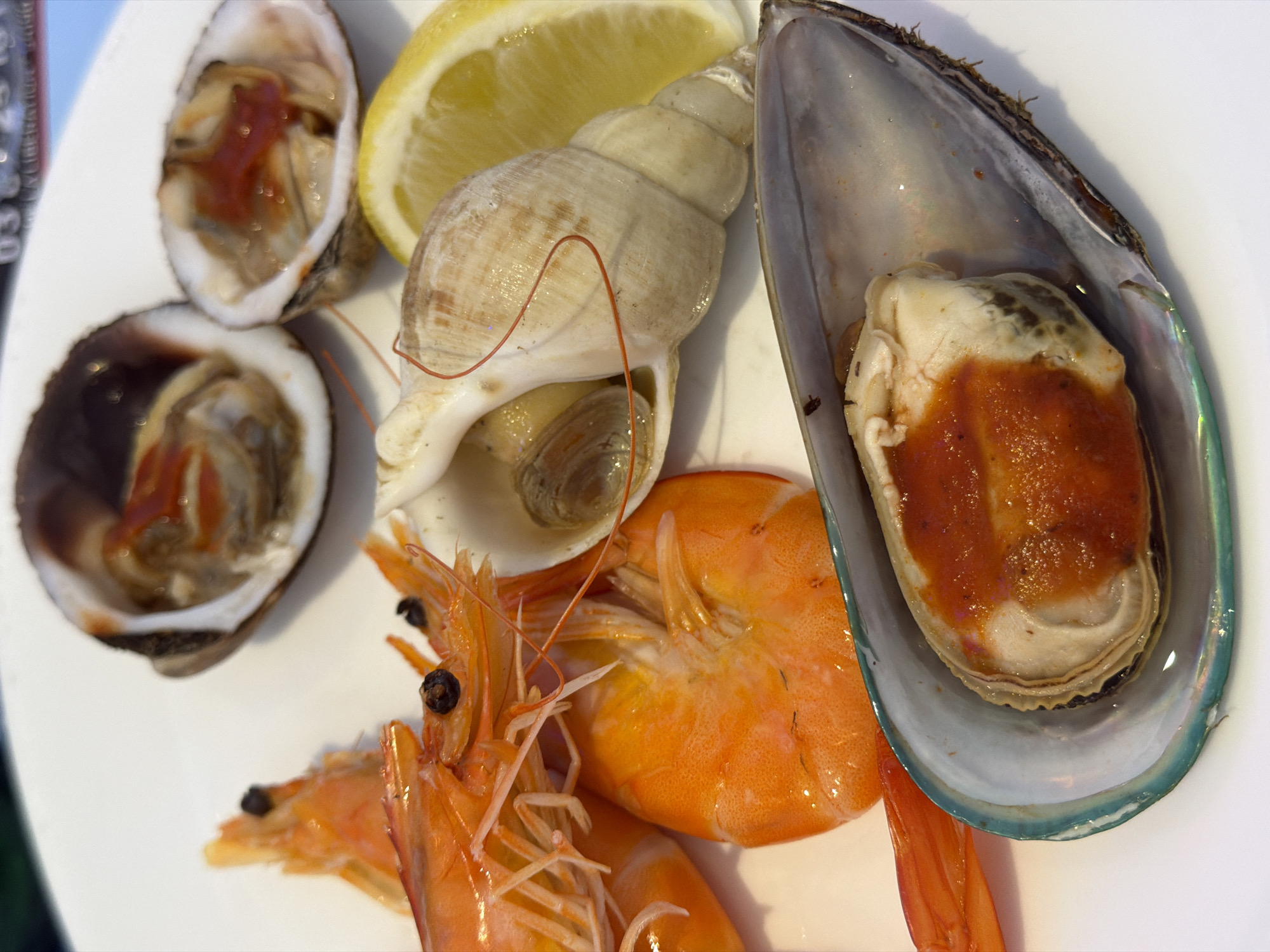 A close-up, high-angle view depicts a selection of cooked seafood presented on a white ceramic plate. In the upper-left quadrant, two bright orange, whole prawns or shrimp are visible, featuring intact heads, antennae, and segmented bodies. To the upper-right, two open bivalve shells, identifiable as clams or cockles, each contain mollusk meat partially covered with a reddish-orange sauce. Adjacent to these, a pale beige, spiraled whelk shell houses a mollusk, with a thin red filament draped across its surface. A single yellow lemon wedge rests next to the whelk and clams. In the lower-right quadrant, a large, open mussel shell, displaying an iridescent blue-green rim, reveals its interior meat, also topped with a reddish-orange sauce. The background is out of focus, with faint, blurred numeric text partially visible in the upper region. No individuals are present. The scene is located in Audun-le-Tiche, France, depicting a culinary presentation.