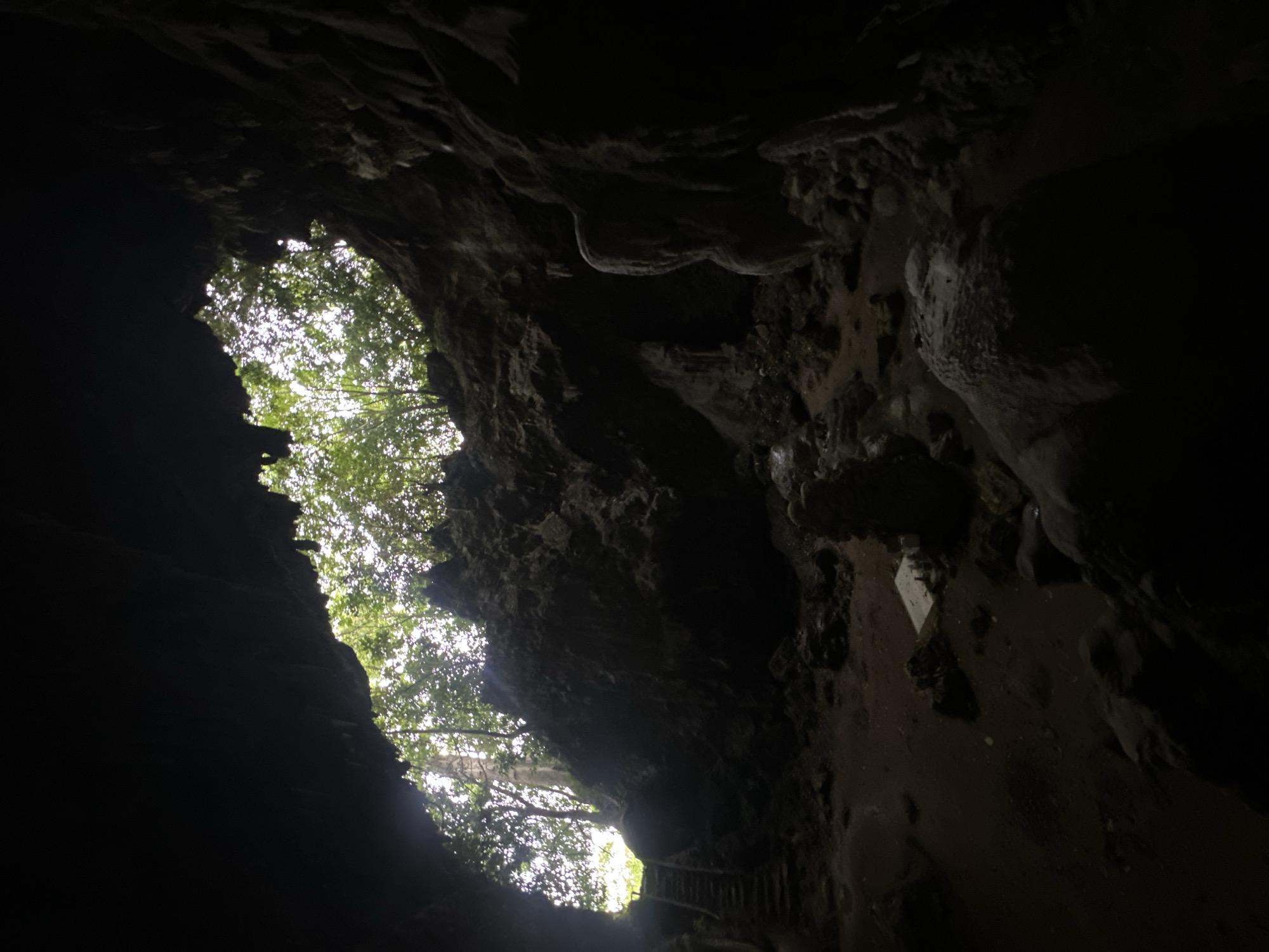The image depicts the interior of a cave, likely part of the karst landscape in Mai Chau, Vietnam. The viewpoint is from within the dark interior, looking towards an opening where daylight streams in, illuminating the cave's ceiling and a rocky, uneven terrain. Lush green trees and foliage are visible through the opening, suggesting an outdoor environment just beyond.
The cave floor appears to be a mix of sandy soil and rocks. In the mid-ground, to the left, a set of stone stairs ascends towards the opening, indicating a constructed pathway for access. The cave walls are rough and textured, with stalactite-like formations hanging from the ceiling in some areas, particularly on the right side. The lighting is dramatic, with the foreground and right side of the cave in deep shadow, contrasting with the brighter, naturally lit area towards the entrance. No people or animals are visible in the scene. The overall impression is one of a natural, somewhat rugged cave environment with evidence of human visitation.