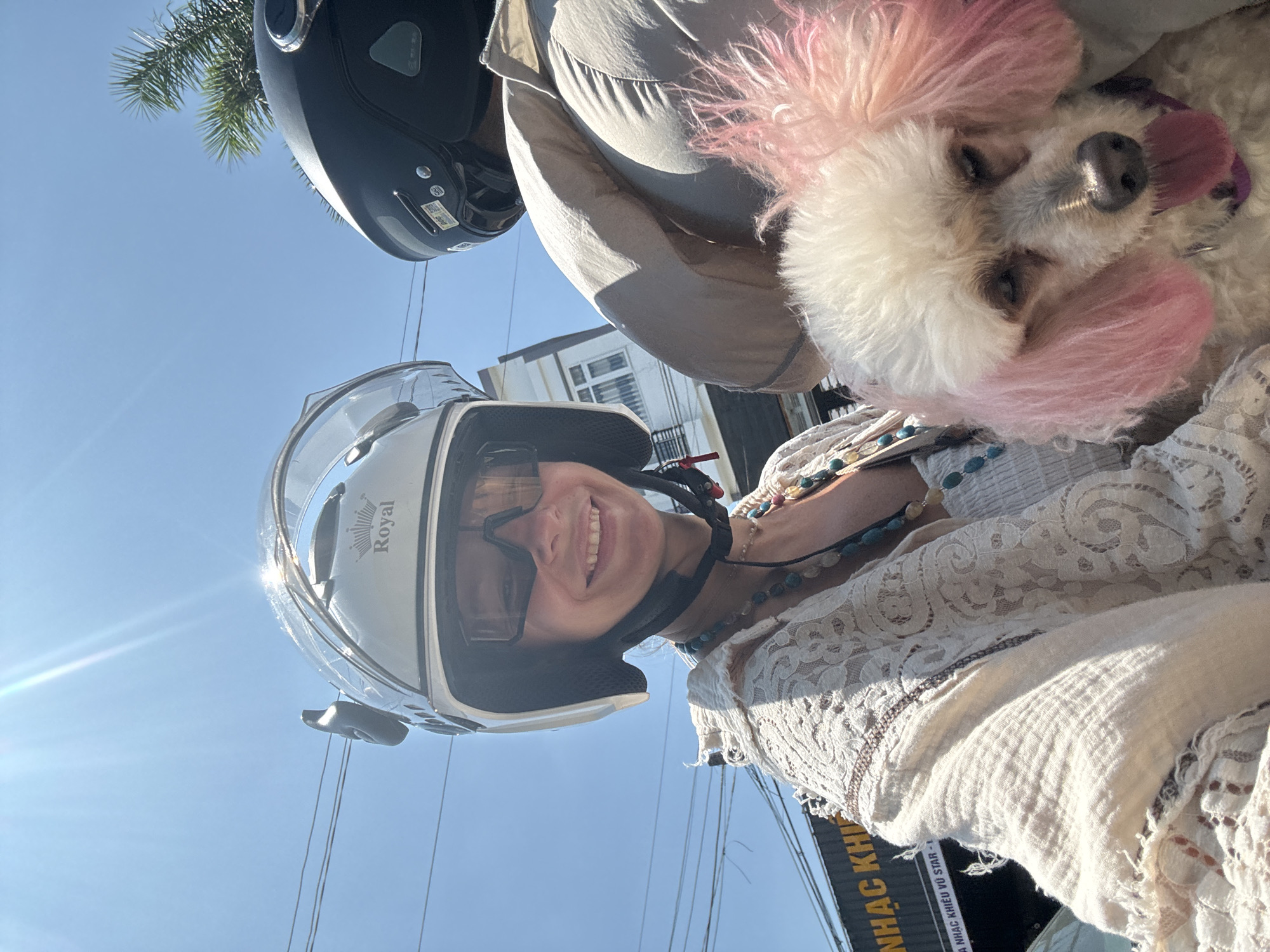 In Phan Thiết, Vietnam, a woman wearing a white helmet with a clear visor and sunglasses is riding a motorbike. She has on a white, lacy top and is adorned with beaded necklaces. She is smiling and looking at the camera. Next to her, a person wearing a black helmet is also on the motorbike, mostly obscured from view, holding a small white poodle whose ears have been dyed pink. The poodle is looking down with its tongue hanging out. In the background, a building and trees are visible under a clear blue sky with bright sunlight. A sign with Vietnamese text is also visible on the left side of the image.