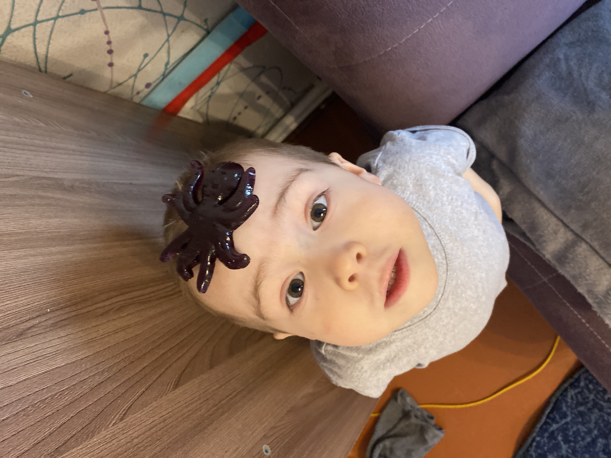 A child with a purple toy spider on their forehead looks up at the camera. The child has fair skin, light brown hair, and light brown eyes. They are wearing a gray T-shirt. The background includes a wooden table, a portion of a couch with purple and gray cushions, and part of a wall with a patterned wallpaper and a red and blue stripe. The location is Ольховка, Russia.