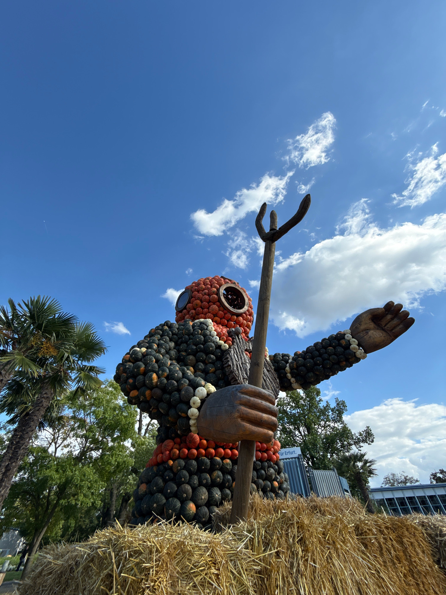 The image shows a large, artistic sculpture of a diver, constructed from pumpkins and other gourds, displayed outdoors. The sculpture is situated in Erfurt, Germany, specifically at the egapark, a prominent park known for its botanical displays and attractions, often hosting seasonal events such as pumpkin exhibitions. The diver figure is detailed, with a helmet made of orange pumpkins, and a body composed of dark green and white gourds. It holds a wooden trident. The sculpture is placed on a base of hay bales. In the background, there are trees, including a palm tree, and a modern building with a glass facade. The sky is blue with scattered white clouds, indicating fair weather. The perspective is from a low angle, looking up at the sculpture against the sky.