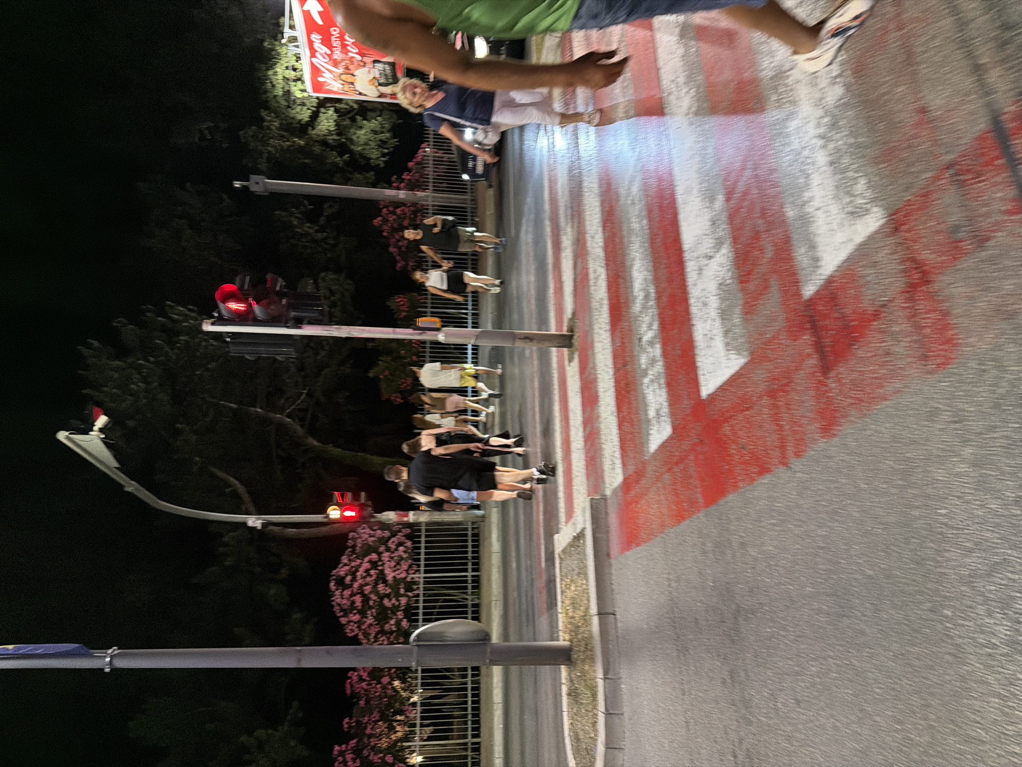 The image depicts a nighttime scene at a pedestrian crossing in Budva, Montenegro. A group of individuals are crossing the street. The traffic light is red, indicating that vehicles should stop. Pink flowering bushes are visible in the background, alongside a fence and trees. A billboard with text that appears to be in a Slavic language is also present. The ground is wet, suggesting recent rain or street cleaning. The image is taken from a low angle, looking across the crosswalk.