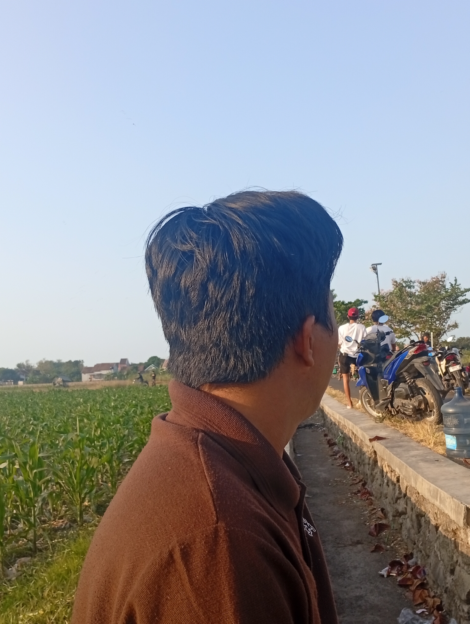 A man, seen from the back and right side of his head, faces away from the camera, looking towards a rural landscape. He wears a brown collared shirt. To his left is a field of green crops, possibly corn, stretching into the distance. In the background, houses and trees are visible. To his right, a paved walkway runs alongside a stone wall. Several motorcycles are parked on the side of the walkway, and two individuals wearing white shirts and one in a red cap are standing near the motorcycles. The sky is clear and pale blue. The scene appears to be set in Kebloran, Indonesia, a location known for its agricultural fields.
