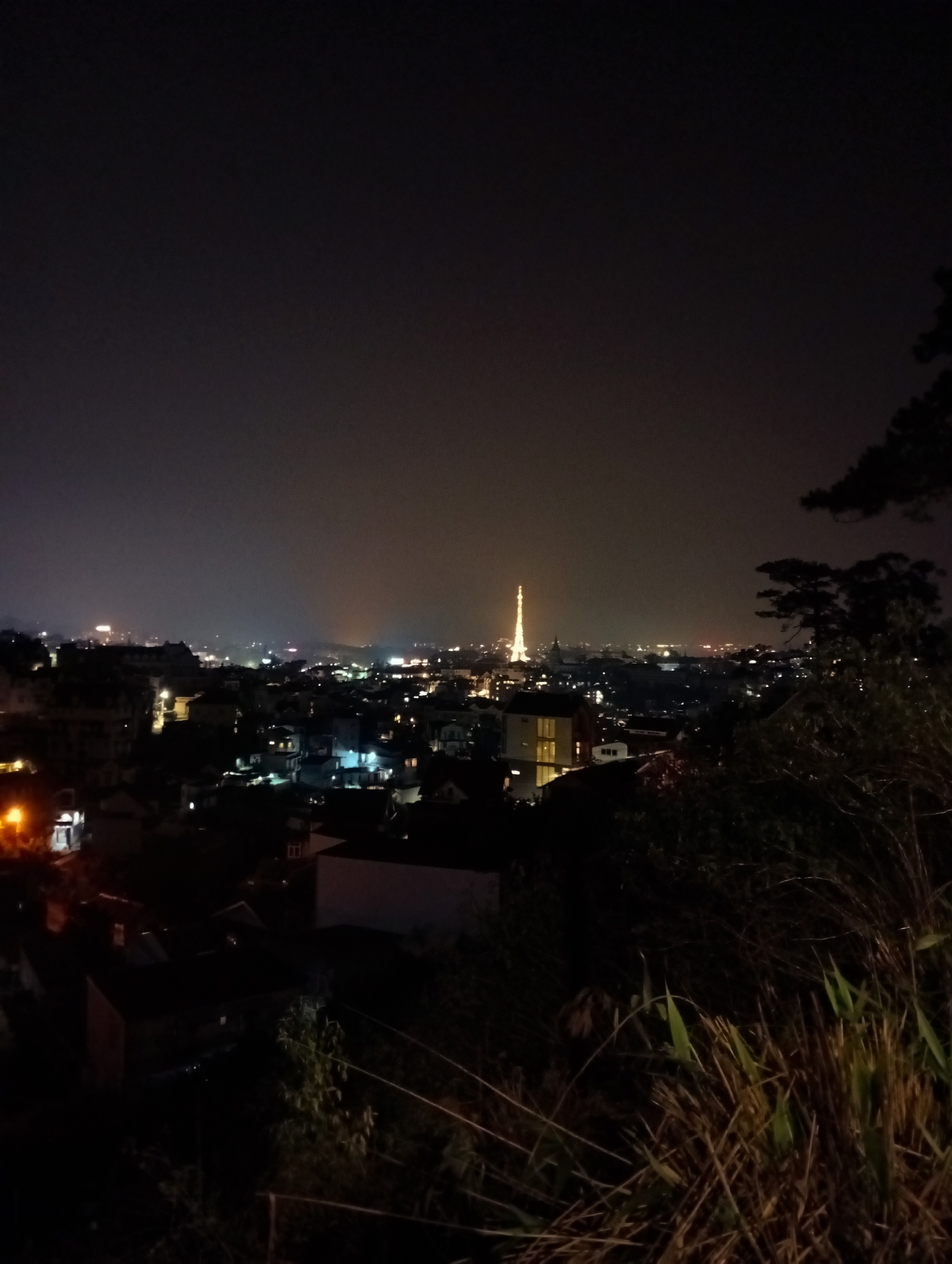 The image shows a nighttime view of Da Lat, Vietnam, with the prominent Thuy Ta Restaurant (often referred to as the "Eiffel Tower") illuminated in the center-right distance. The scene is captured from an elevated position, likely a hillside or tall building, overlooking a residential area. The foreground is dominated by dark vegetation including trees and tall grass. City lights and building windows create scattered points of light across the cityscape. The sky is dark and indistinct. No people or direct interactions are visible.