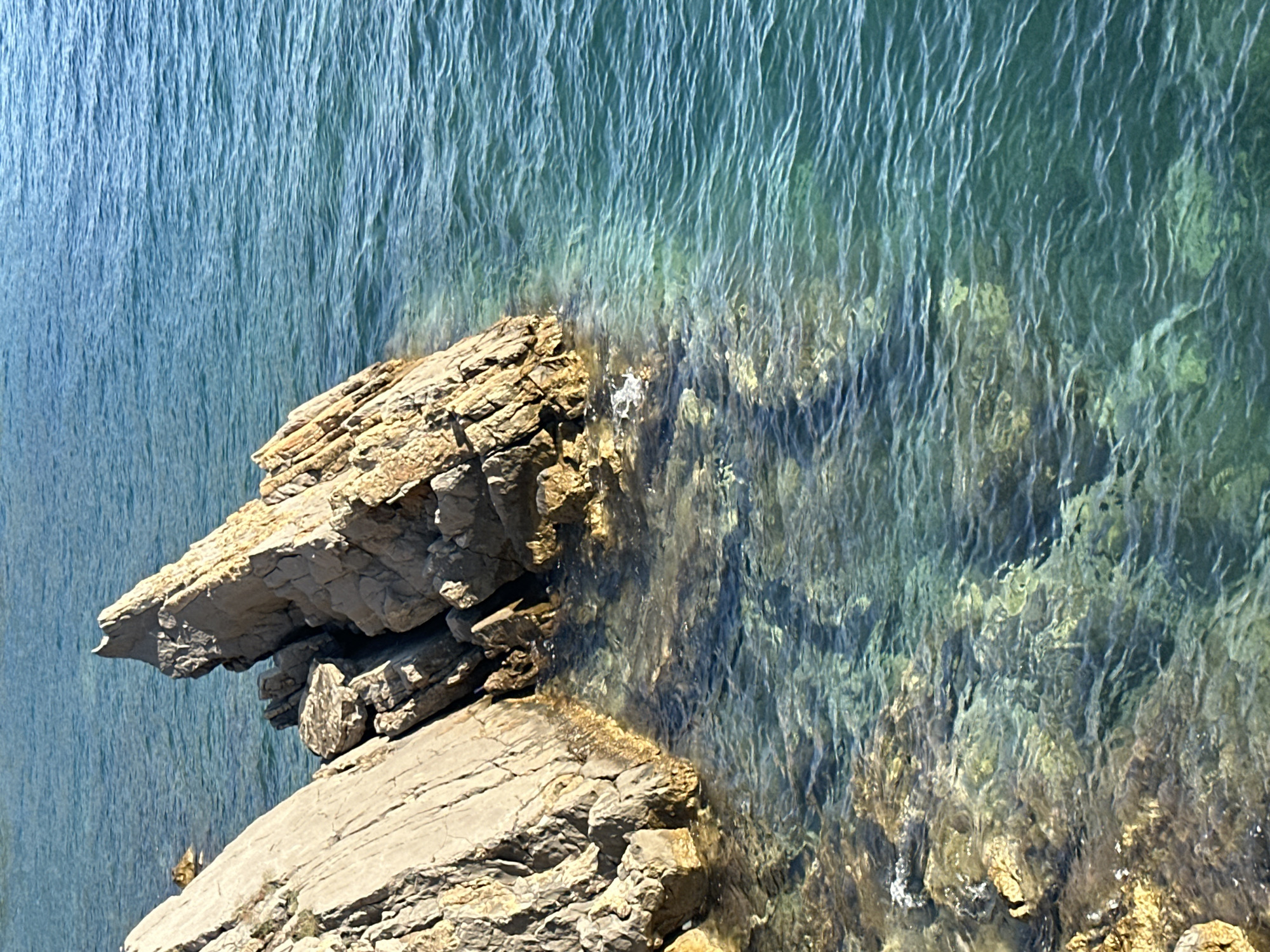 This is a close-up, eye-level shot of rugged, light-brown and grey rocks jutting into clear, turquoise water. The rocks are textured with sharp edges and crevices, with some sections appearing weathered and others more angular. The water is calm, with subtle ripples on its surface, and the seabed beneath is visible through the transparent water, showing submerged rocks and sand. The scene is set in the coastal waters near Budva, Montenegro. There are no people or discernible actions taking place in the image. The lighting suggests a bright, sunny day, casting shadows on the rocks and creating reflections on the water's surface.
