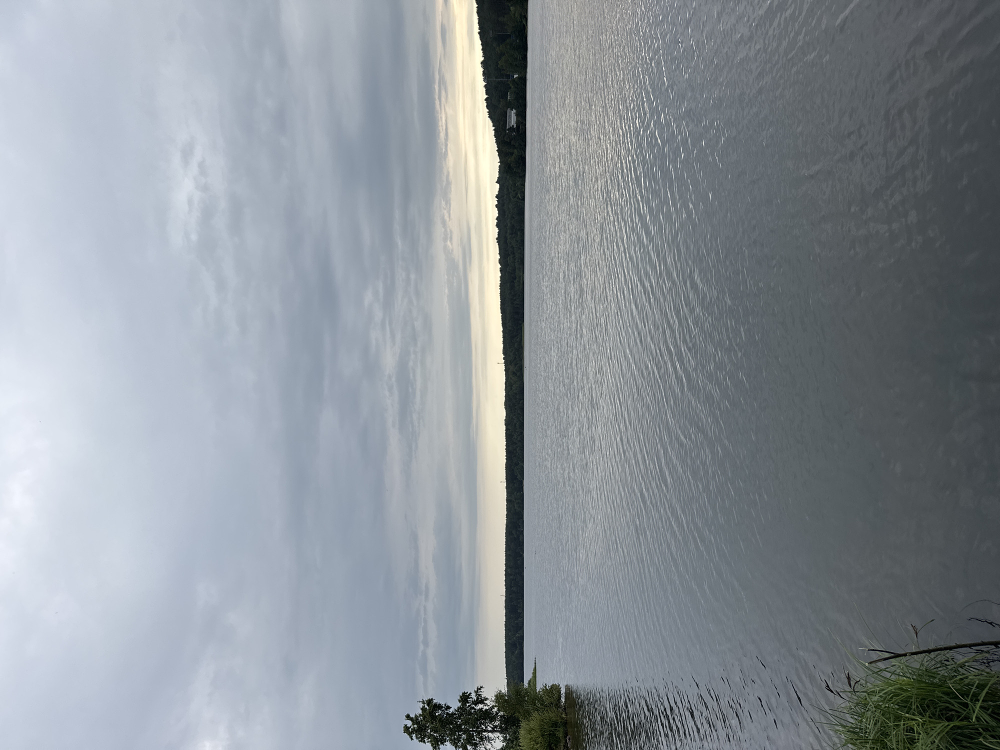 The image depicts a serene, overcast day at a large body of water, likely a lake or reservoir, in Toksovo, Russia. In the foreground, tall green grass and a thin, dead branch are visible at the water's edge, leading into the dark, rippled surface of the water. The water stretches out to a distant treeline, which forms a dense, dark green horizon under a heavy, gray, cloud-filled sky. The sky has a slight yellowish hue near the horizon, suggesting either dawn or dusk. A solitary tree stands on the left bank, with its silhouette stark against the cloudy sky. A few faint, distant structures are visible amongst the trees on the far bank. The scene conveys a sense of quietude and natural beauty, typical of the Toksovo region's recreational areas.