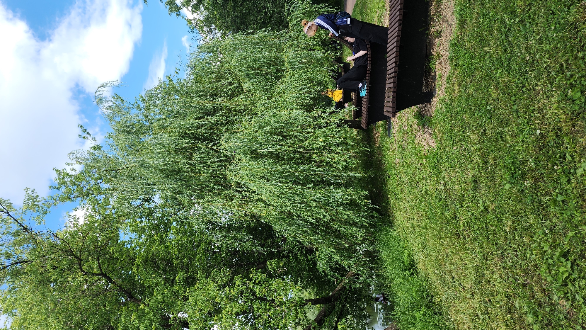 An adult and a child are relaxing on a park bench near a large weeping willow tree on a sunny day. The adult is lying down on the bench, wearing black pants and a blue and white jacket. The child is sitting up, wearing a blue jacket and has blonde hair. In the background, there is a body of water and other trees. The scene appears to be in a park, possibly a public park in Moscow, Russia, given the characteristic style of the benches and the prevalence of similar vegetation in city parks there. The overall atmosphere is peaceful and relaxed.