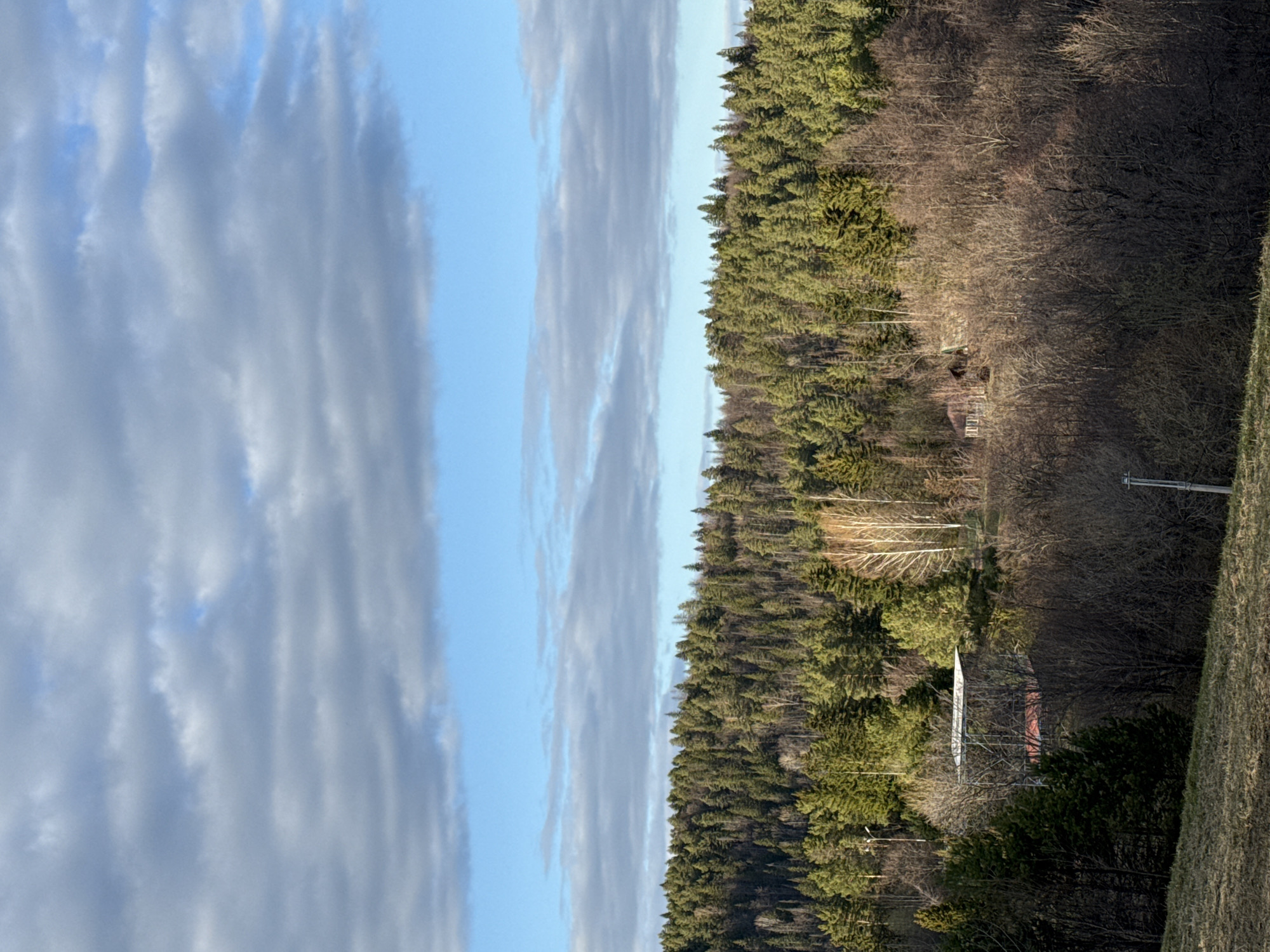 The image shows a landscape featuring a forest bordering a sky with blue and grey clouds. The location is described as Galevo, Russia, however this could not be forensically verified from the image itself.
On the right side of the image, a forested area is visible with a mix of coniferous trees and bare deciduous trees. There appears to be a building, possibly a house, nestled within the trees. A grassy field is visible in the bottom right corner. A tall metal structure stands in the woods, as well.
The left side of the image shows the sky. Light blue areas are interspersed with long, stretched-out grey clouds. The clouds are oriented vertically in the image. The photograph is shot in landscape orientation.