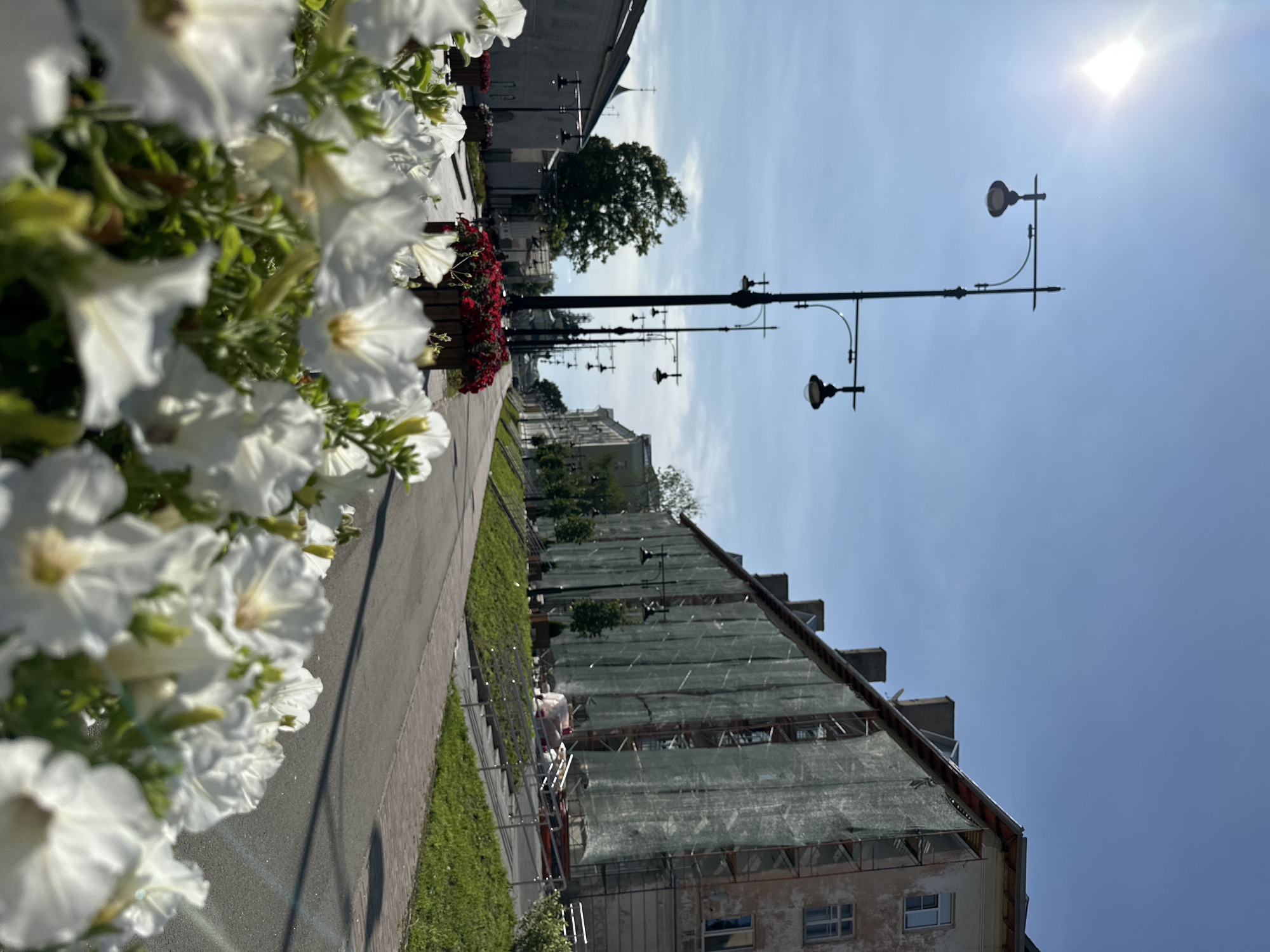 In an urban setting under a clear blue sky, a street is lined with lampposts and buildings. White and red flowers in planters are in the foreground. The buildings on the right side of the street are covered in scaffolding and green netting, suggesting ongoing construction or renovation. The street is paved, and there are sidewalks with grass and some stairs leading up to a building. The sun is shining brightly, casting shadows on the street.