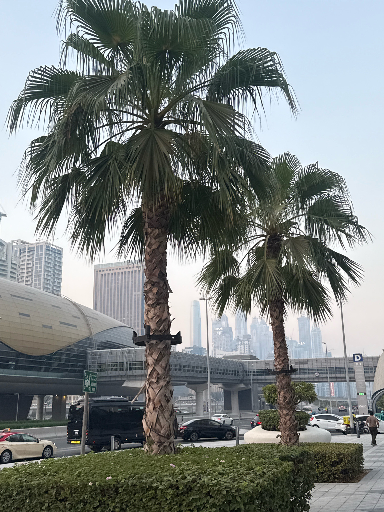 The image captures a street scene in Dubai, United Arab Emirates, likely in the Jumeirah Lakes Towers (JLT) area, as indicated by a sign labeled "JLT". Two prominent palm trees stand in the foreground, their fronds reaching towards a hazy sky. In the background, the Dubai skyline is visible, with numerous skyscrapers in various architectural styles.
To the left, a modern, curved building, possibly a metro station, features a wide, covered walkway or platform. A black minibus is parked on the road, with a white and yellow taxi to its left. Several other vehicles, including cars and what appears to be a police car, are on the road, suggesting moderate traffic. The street is lined with low green hedges and planters.
The overall atmosphere is that of a developed urban environment, with clear signs of infrastructure, transportation, and modern architecture, typical of Dubai. The lighting suggests it might be late afternoon or early morning, with a diffused light contributing to the haze. There are no discernible interactions between the few people visible in the image.