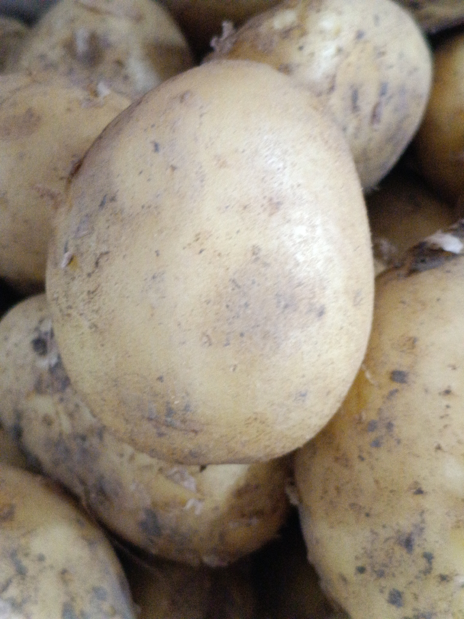 A close-up, overhead shot shows a pile of potatoes. The potatoes are light brown with some dark spots and blemishes. The potatoes are of various sizes and shapes, and they are piled on top of each other. The background is dark and out of focus. This image was taken in Martuni, Armenia.