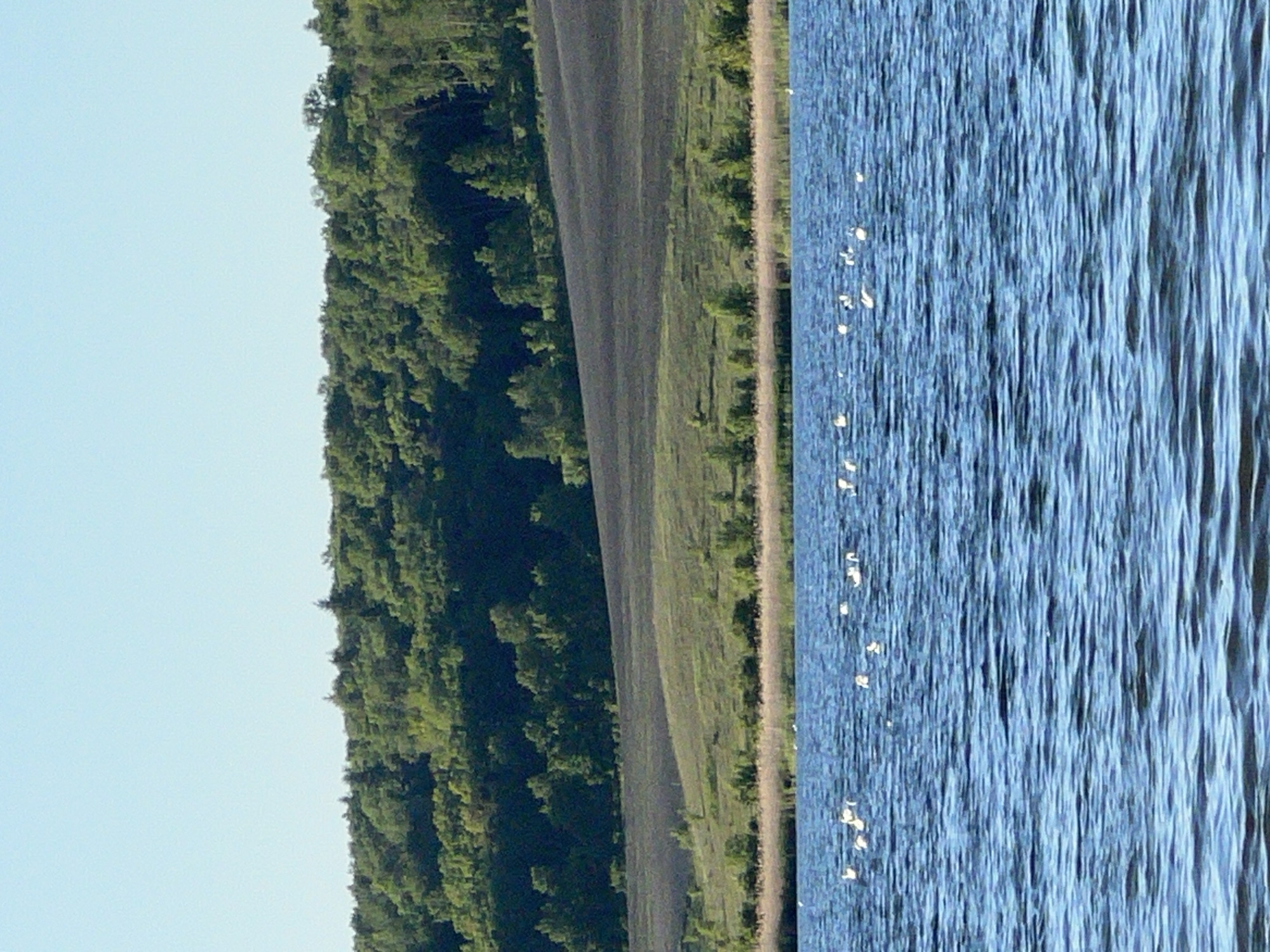 The image presents a landscape scene. On the left, there is a dense forest with green trees. Adjacent to the forest is a grassy field. A dirt road or path appears to run alongside the edge of the field. To the right of the road is a body of water, possibly a lake or river. The water shows ripples or waves, with some light reflections on the surface. The sky is partially visible on the left. The image appears to be taken from an elevated position or at ground level. There is no information about Reniv, Ukraine.