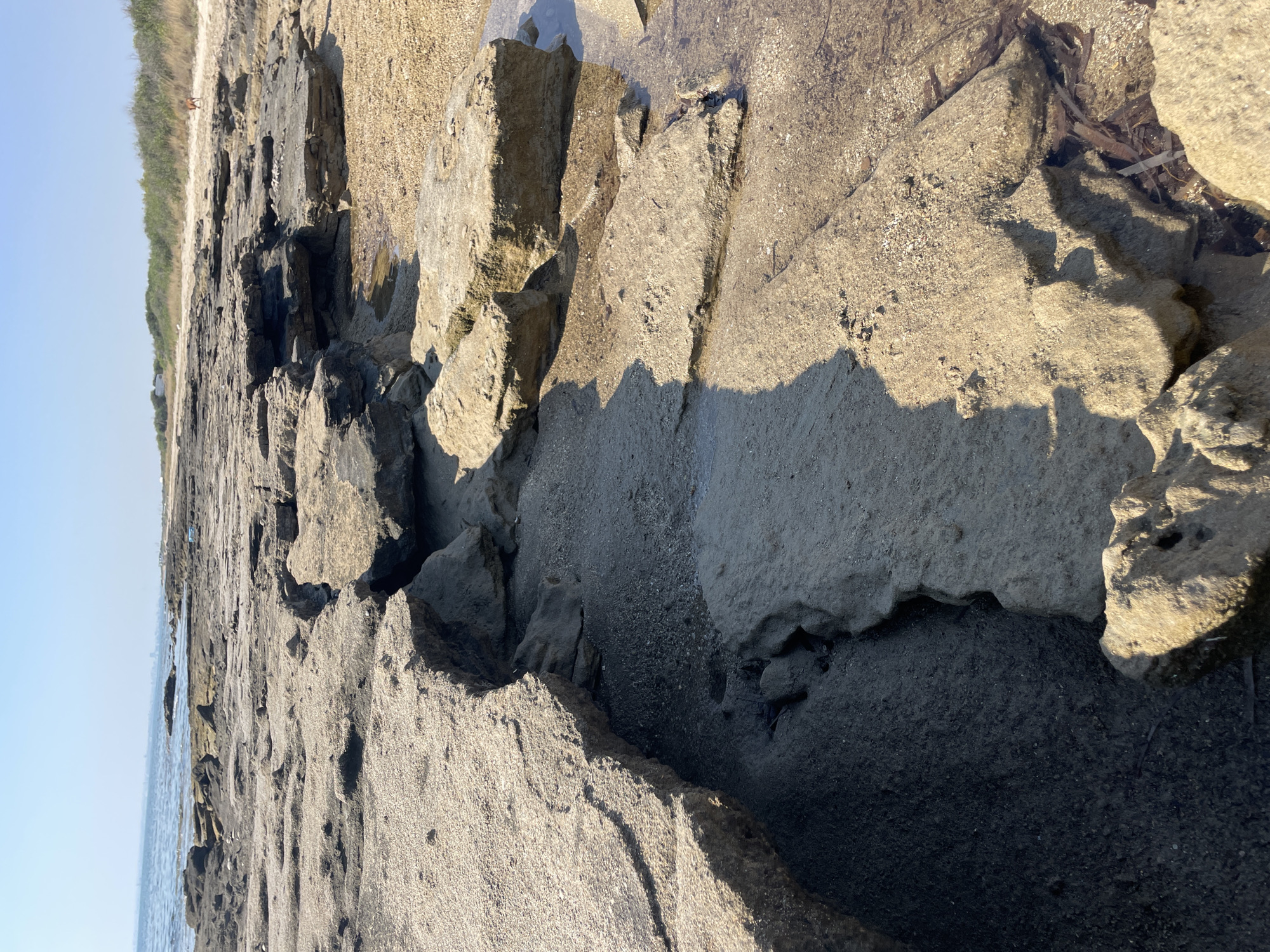 This image depicts a coastal rocky area. In the foreground, large, flat, light-colored rocks are evident, with some showing signs of erosion and forming crevices. The rocks are interspersed with patches of sand and small puddles of water, indicating proximity to the sea. The terrain slopes gently towards the background where the sea is visible, a calm blue expanse under a clear sky. Further in the background, a sandy shoreline with sparse vegetation can be seen, and a narrow path runs along it. On this path, a brown dog is visible in the far distance. The overall scene is a natural coastal landscape, likely a beach or shoreline area.