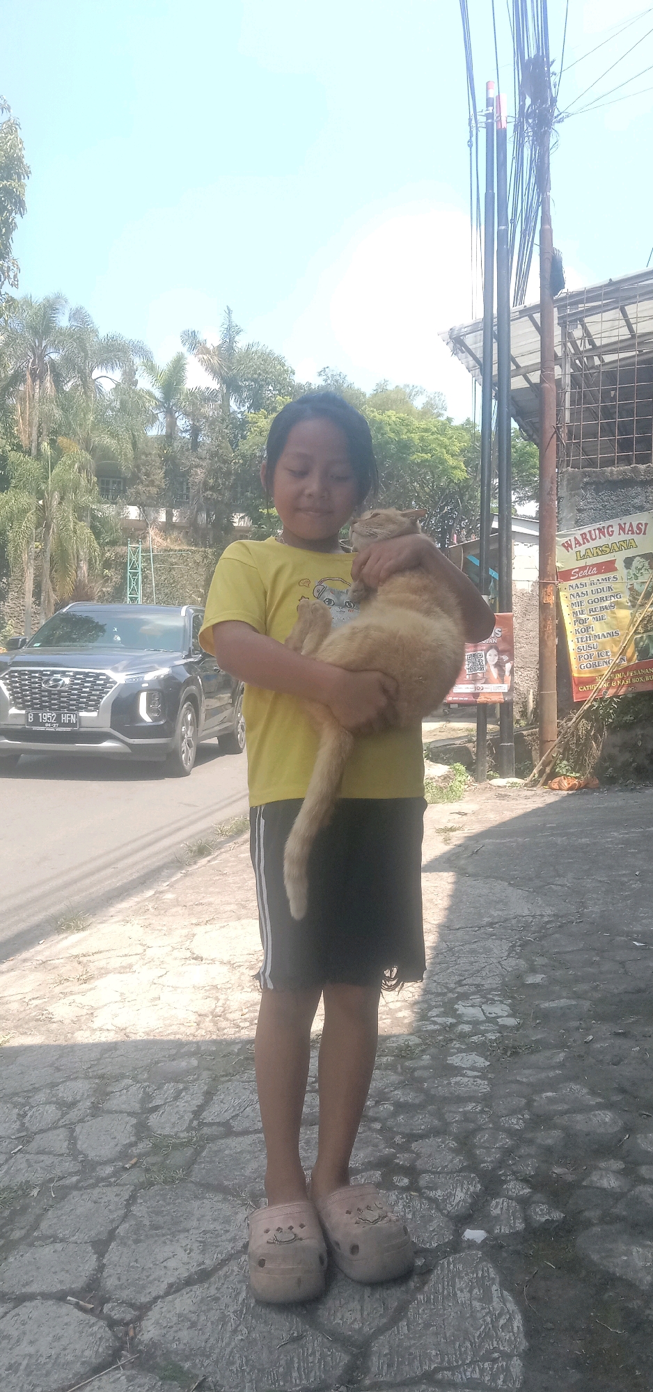 In Palasari, Indonesia, a young person stands outdoors holding a ginger cat. The child, wearing a yellow t-shirt and black shorts, cradles the cat, which is resting on their arm. The scene is set against a backdrop of trees and a street, with a black car visible in the background. A utility pole and some signage are also present. The ground is paved with cobblestones.